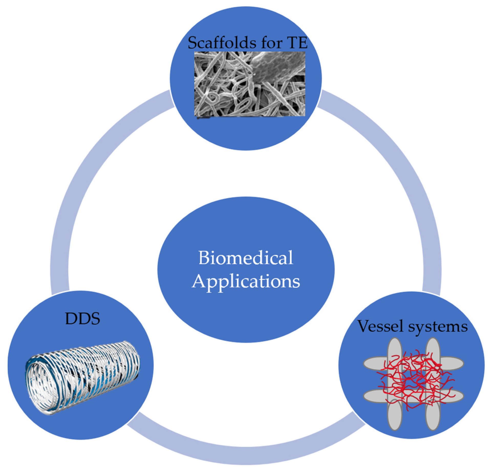 Micromachines 13 00642 g008