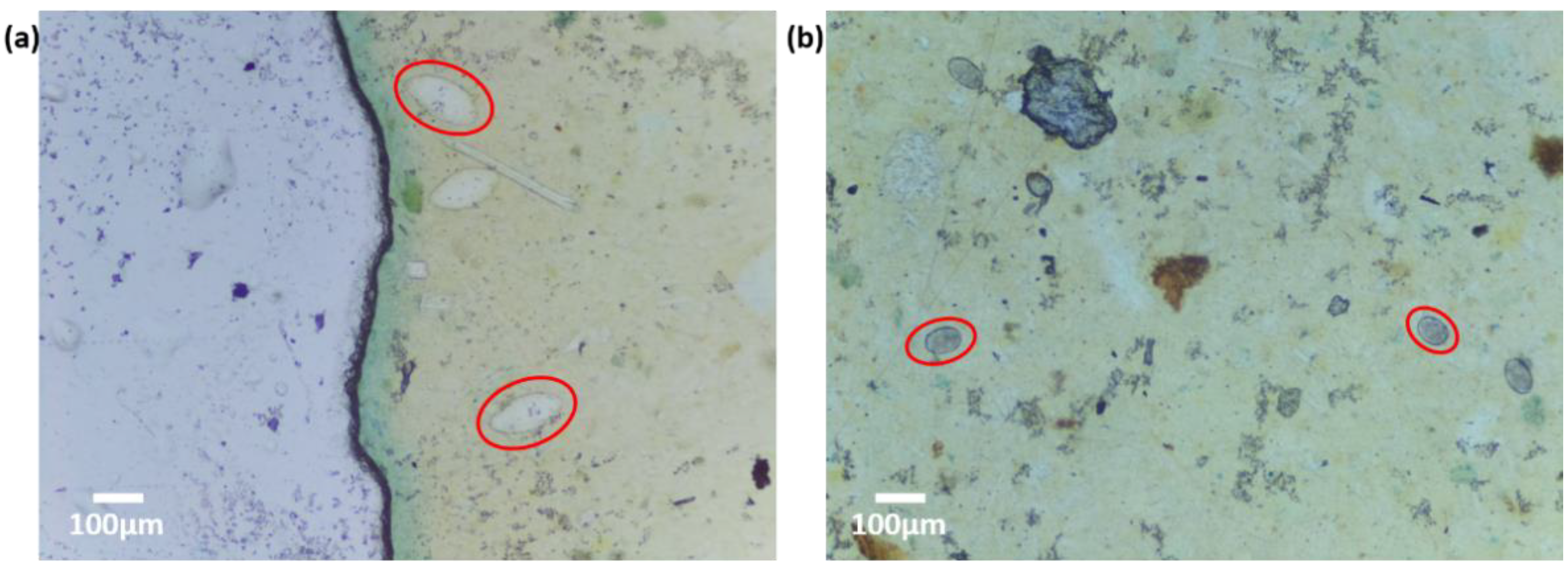 Micromachines 13 00643 g006 550