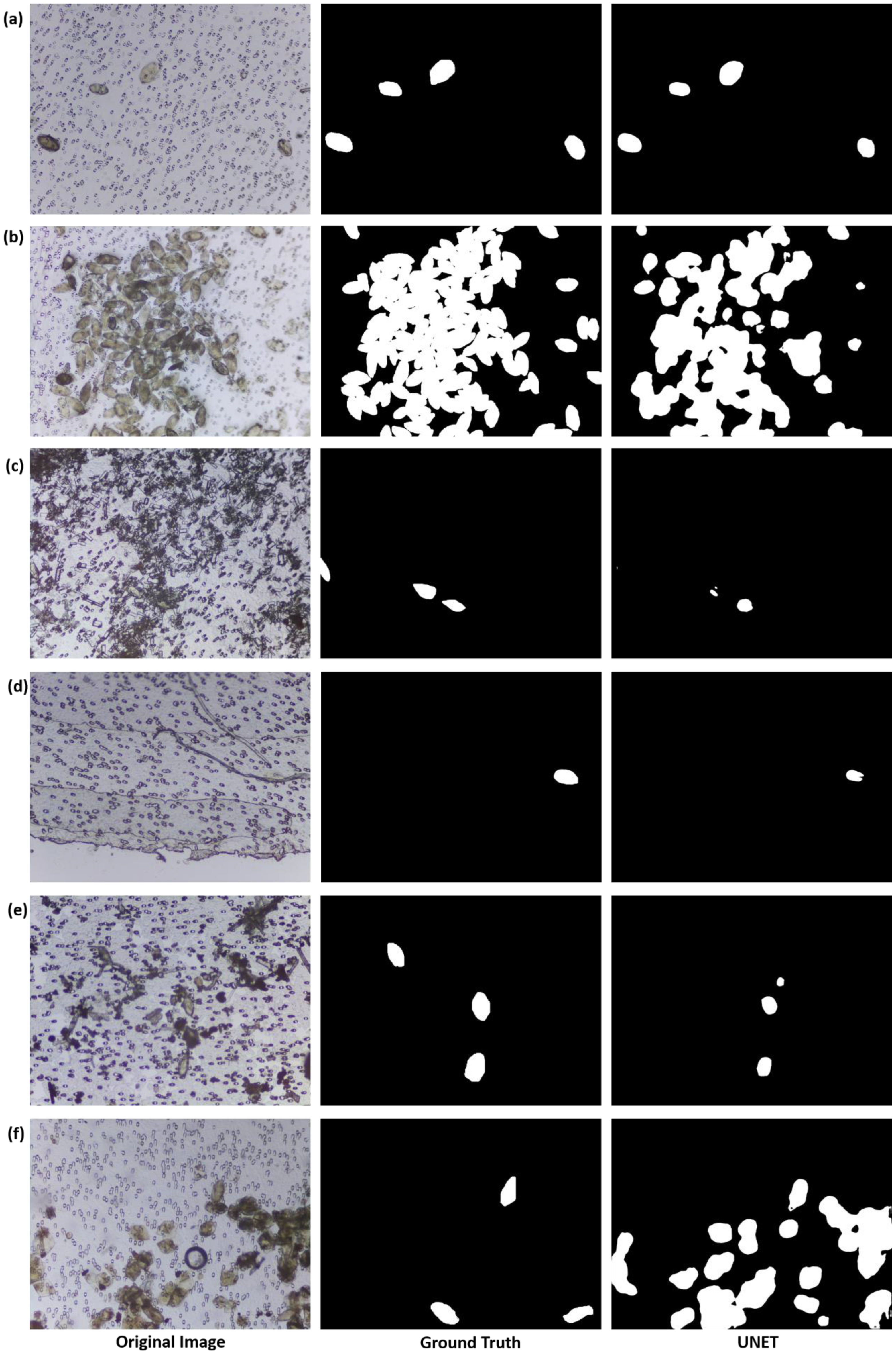 Micromachines 13 00643 g007 550