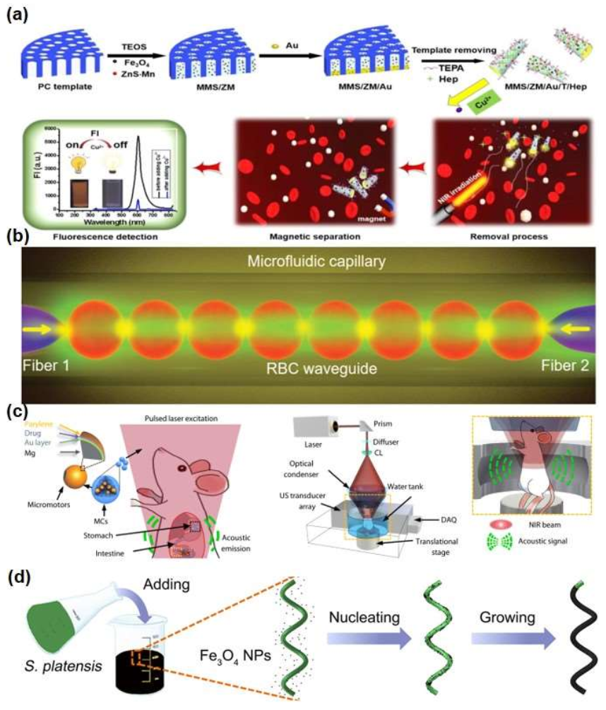 Micromachines 13 00648 g003 550