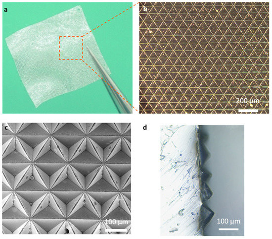 Monolayer MoS2-Based Flexible and Highly Sensitive Pressure Sensor with ...