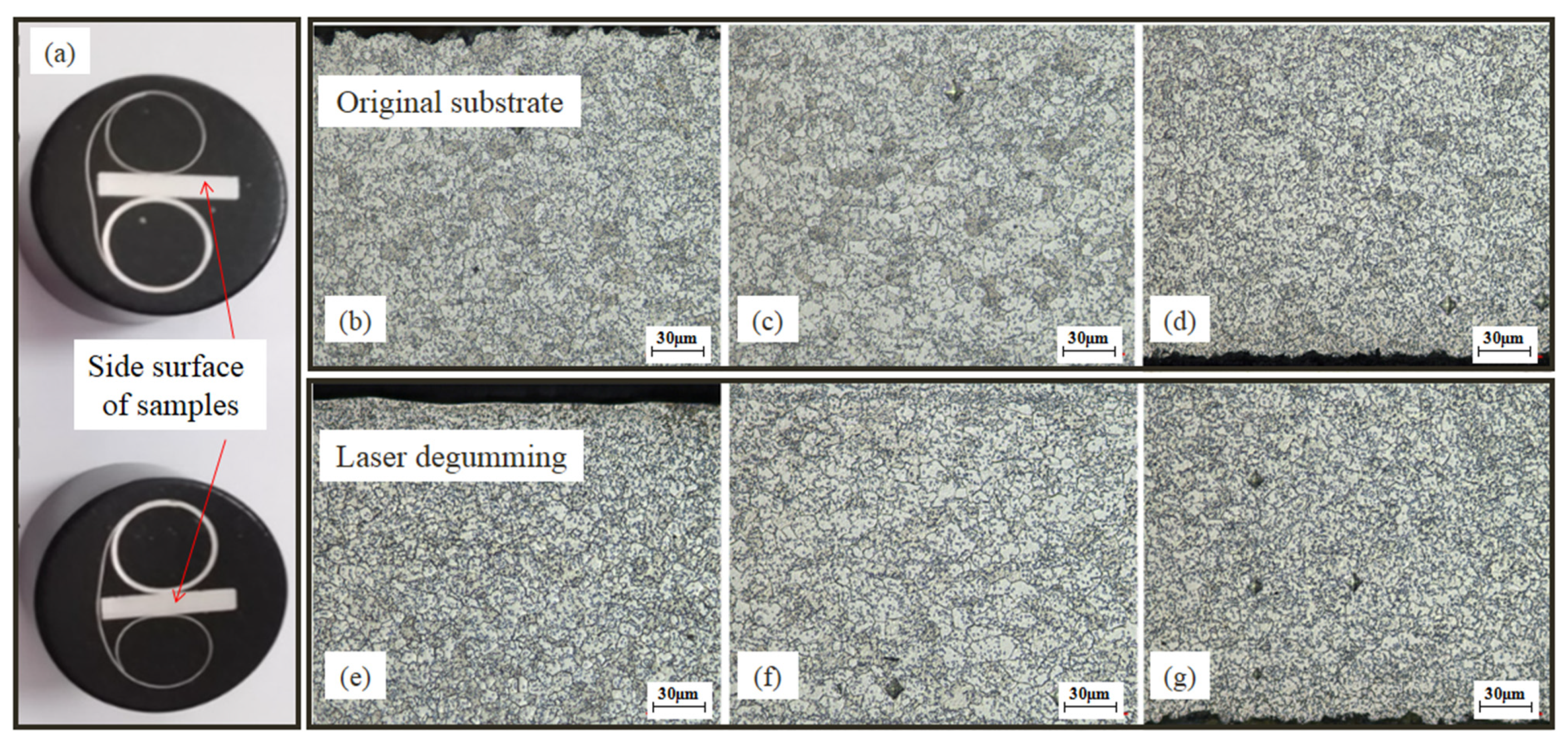 Micromachines 13 00666 g010 550
