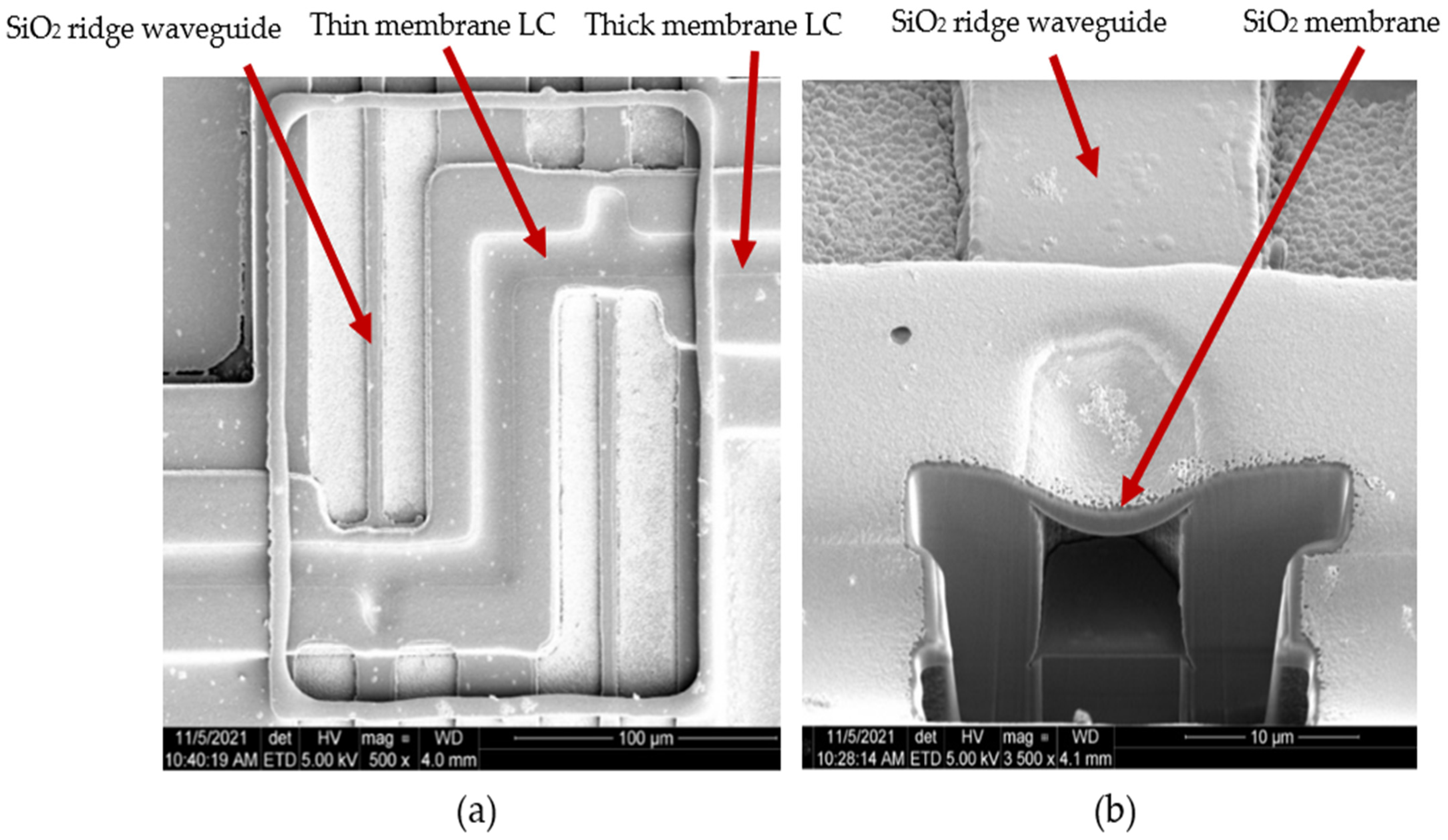 Micromachines 13 00721 g005 550