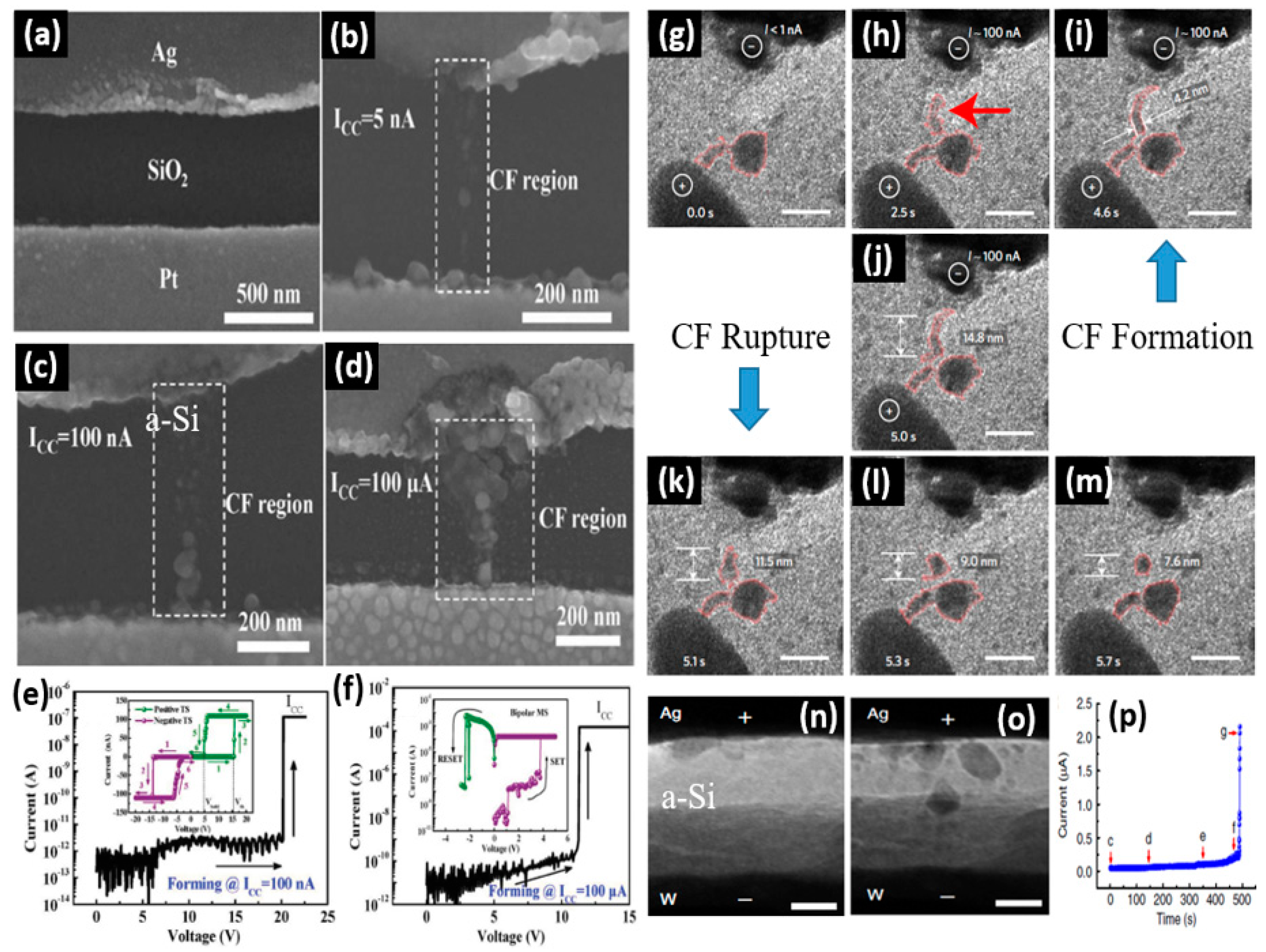 Micromachines 13 00725 g007 550
