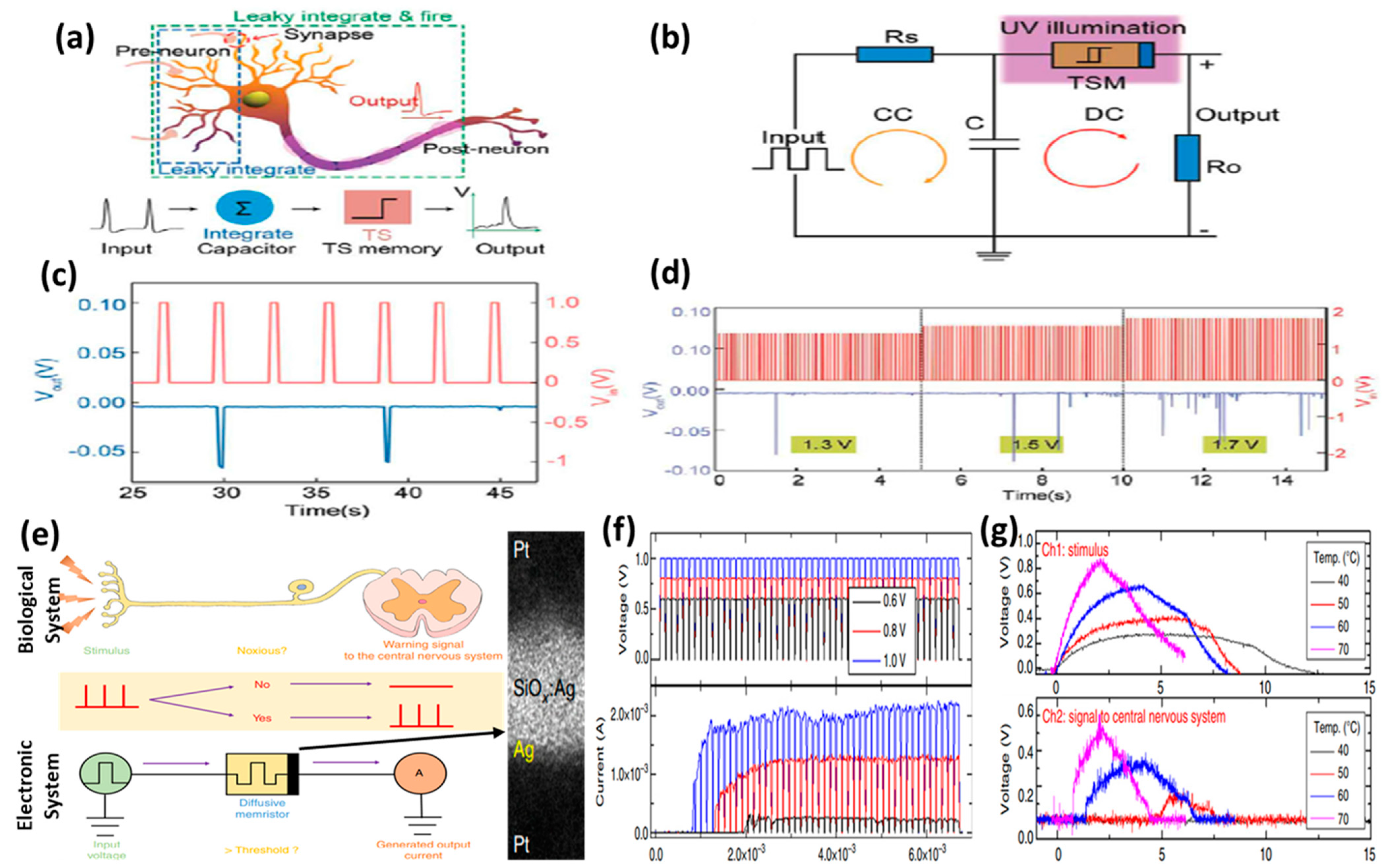 [REVIEW]Micromachines: Conductive Bridge Random Access Memory (CBRAM): Challenges and Opportunities for Memory and Neuromorphic Computing Applications