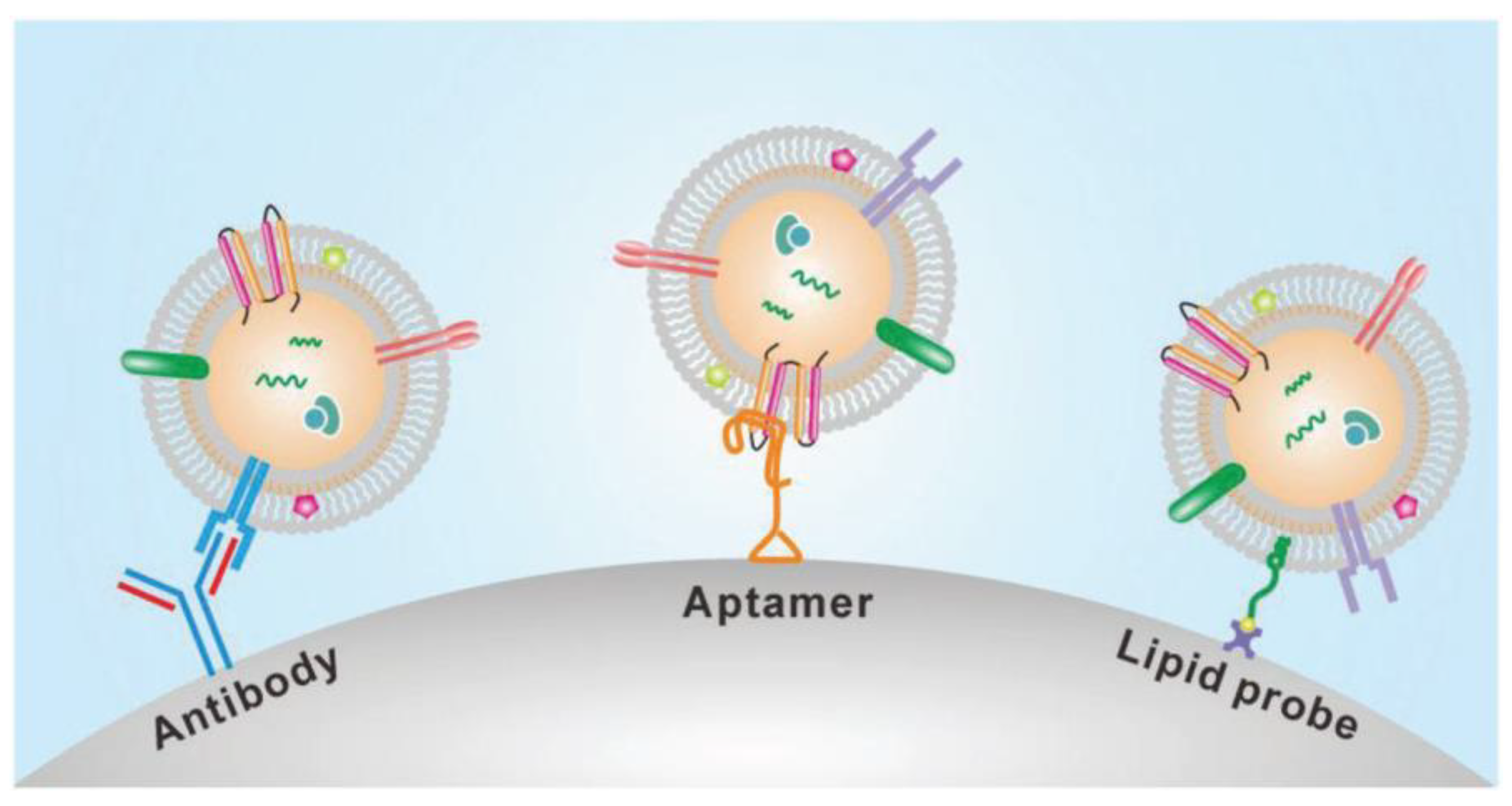 Micromachines 13 00730 g006