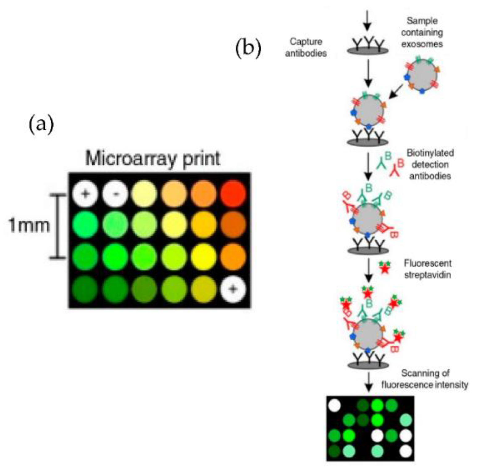 Micromachines 13 00730 g009