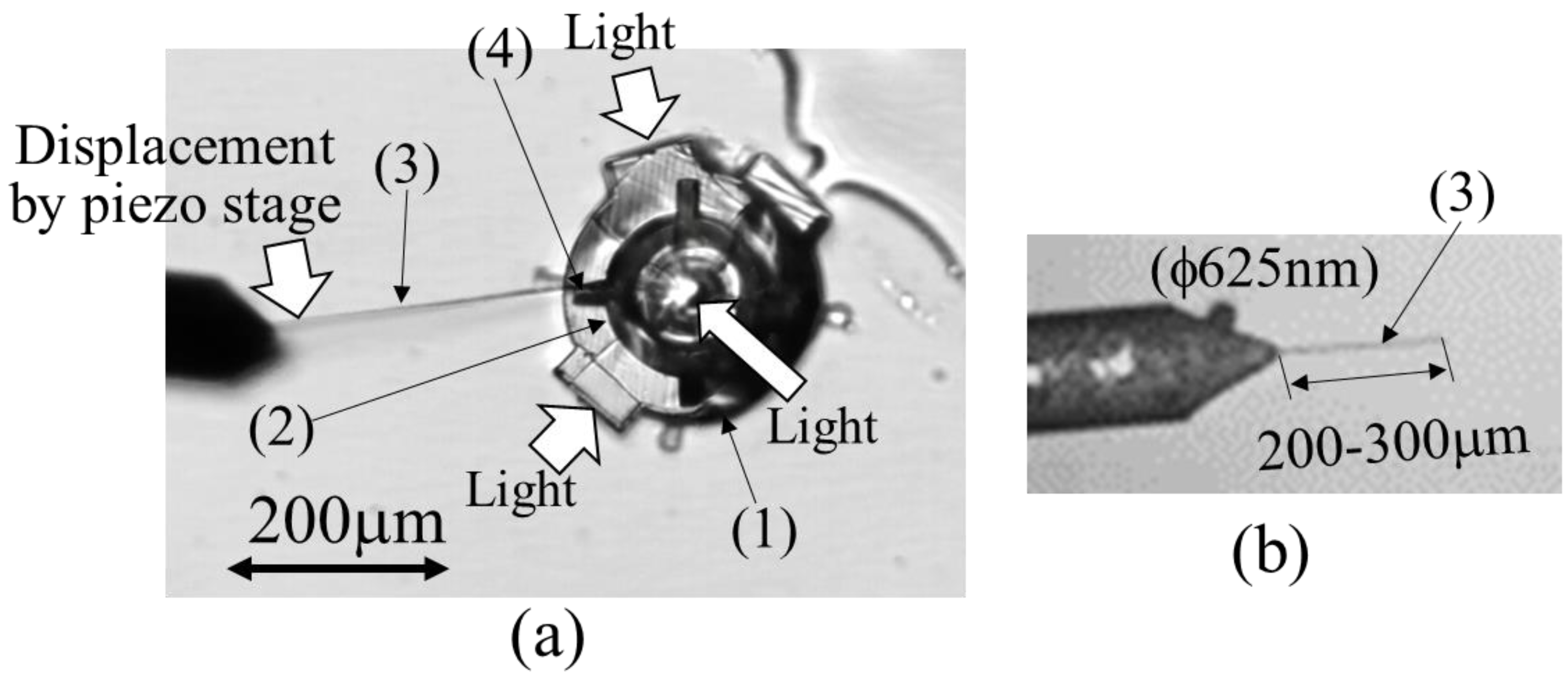 Micromachines 13 00733 g005