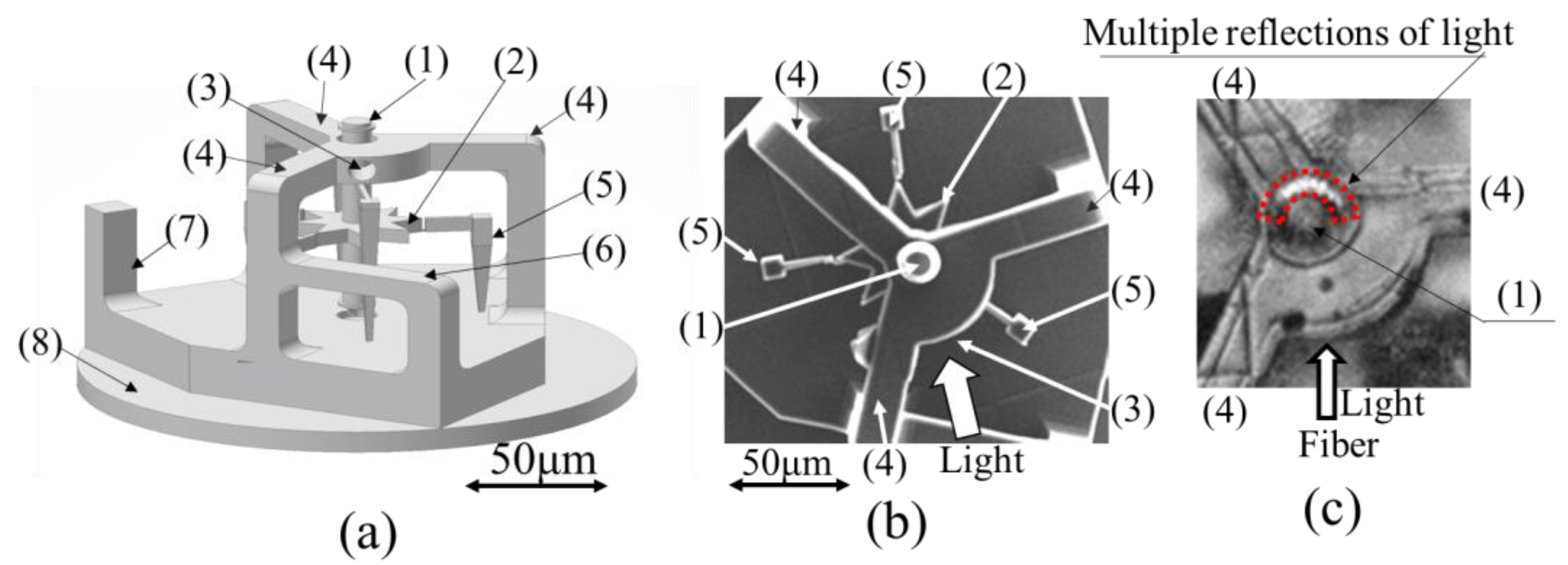 Micromachines 13 00733 g007