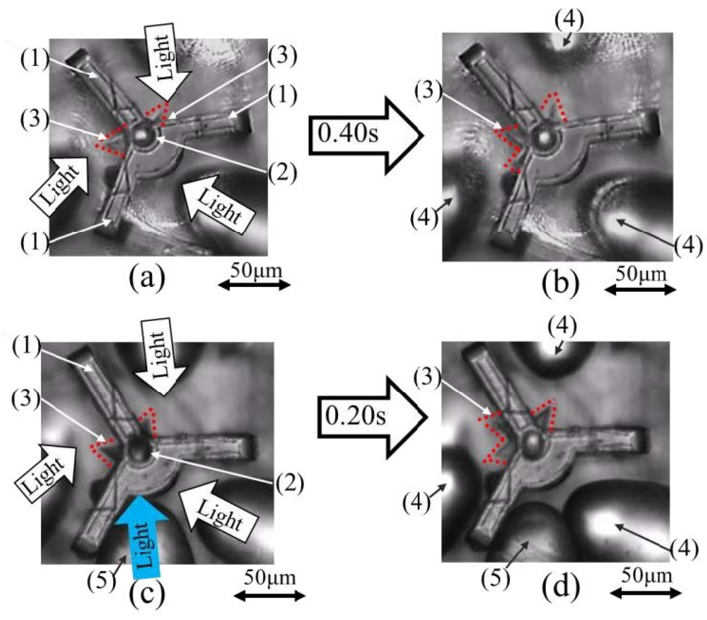 Micromachines 13 00733 g008