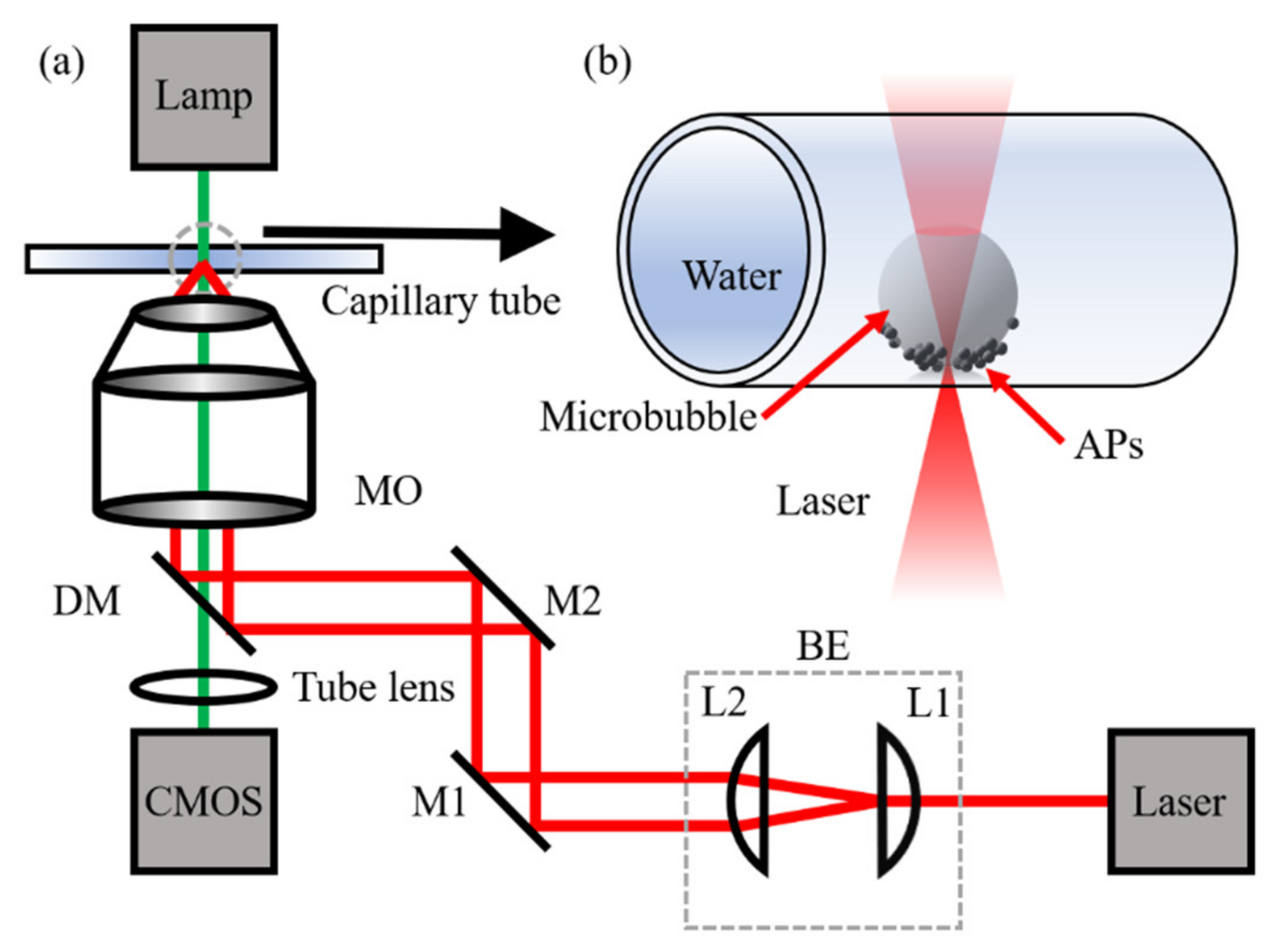 Micromachines 13 00740 g001