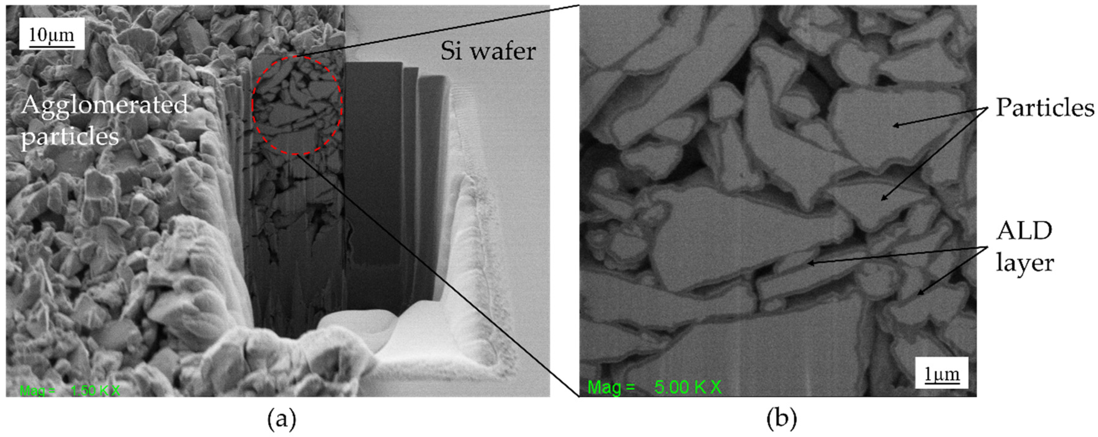 Micromachines 13 00742 g001 550