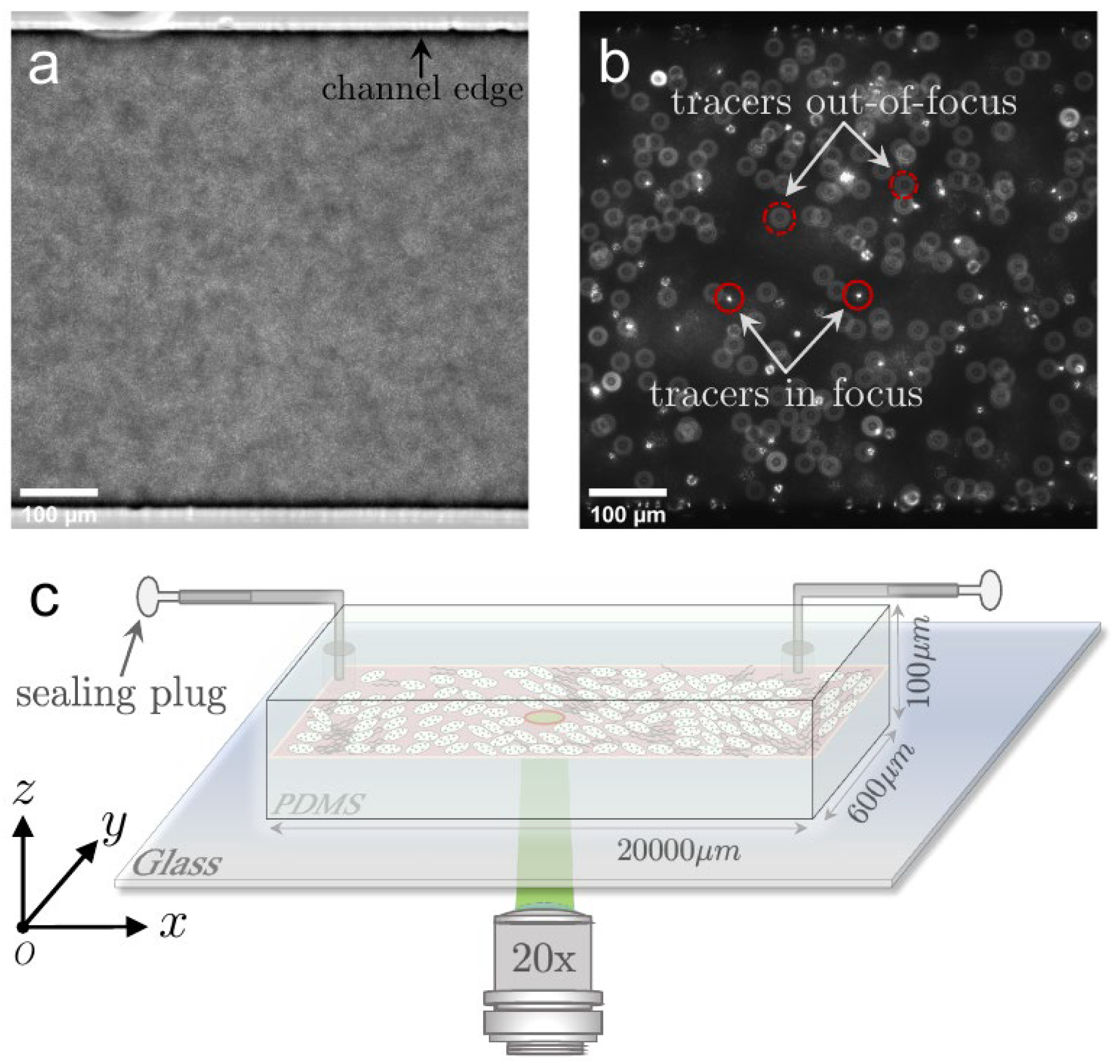 Micromachines 13 00746 g001 550