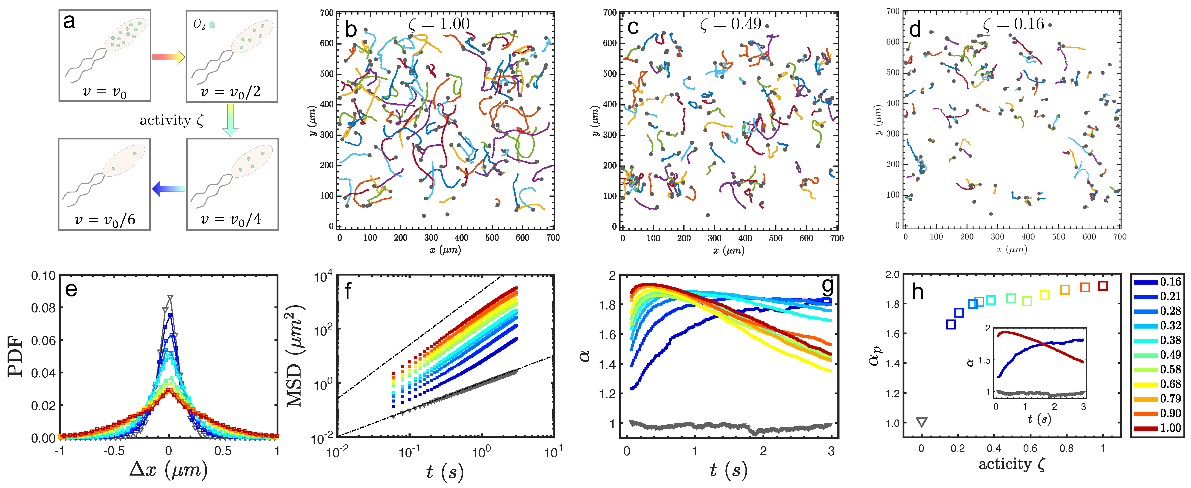 Micromachines 13 00746 g003 550