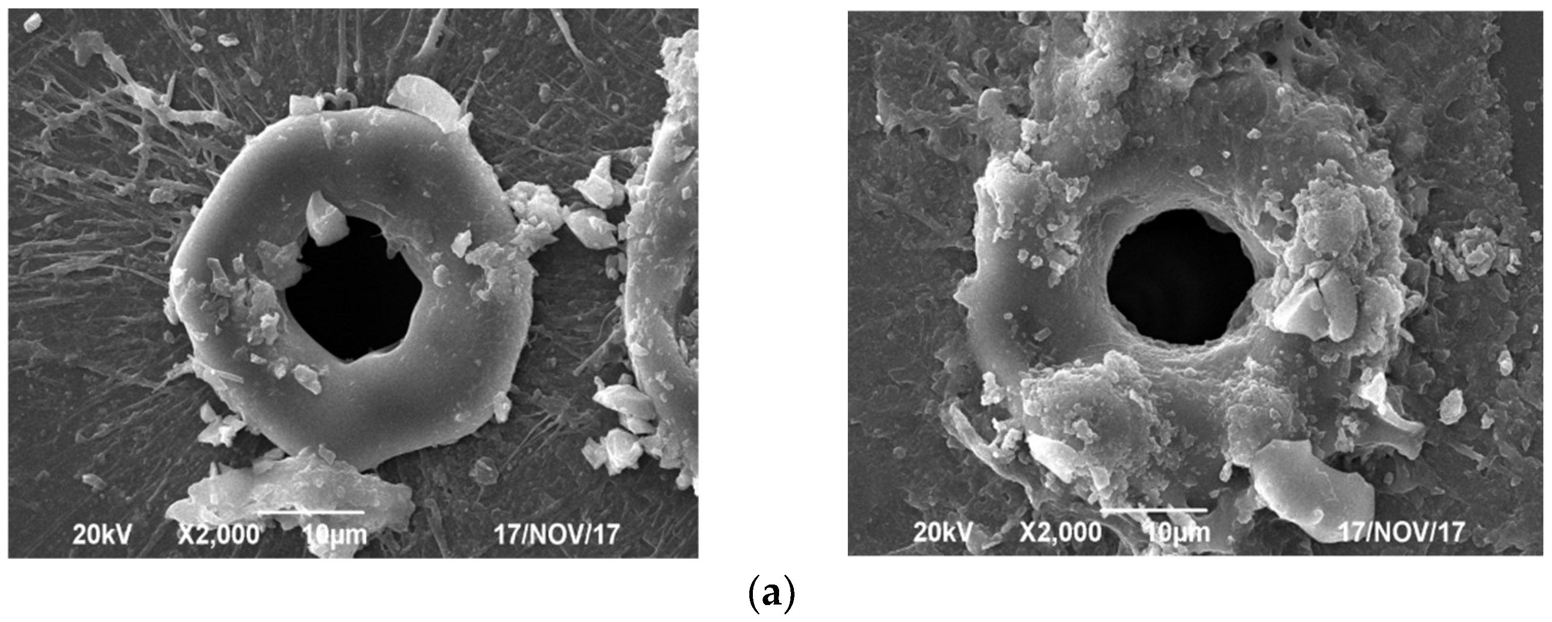 Micromachines 13 00765 g005a 550