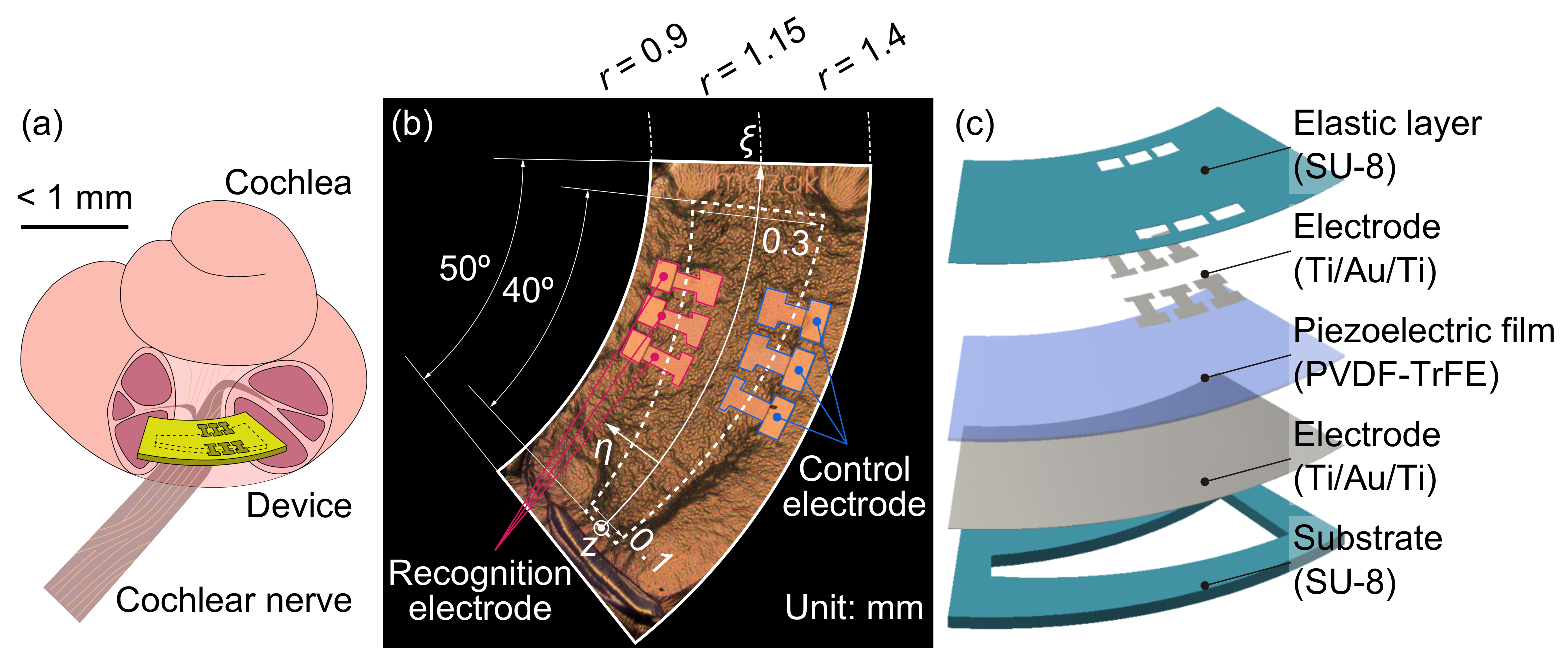 Micromachines 13 00768 g002