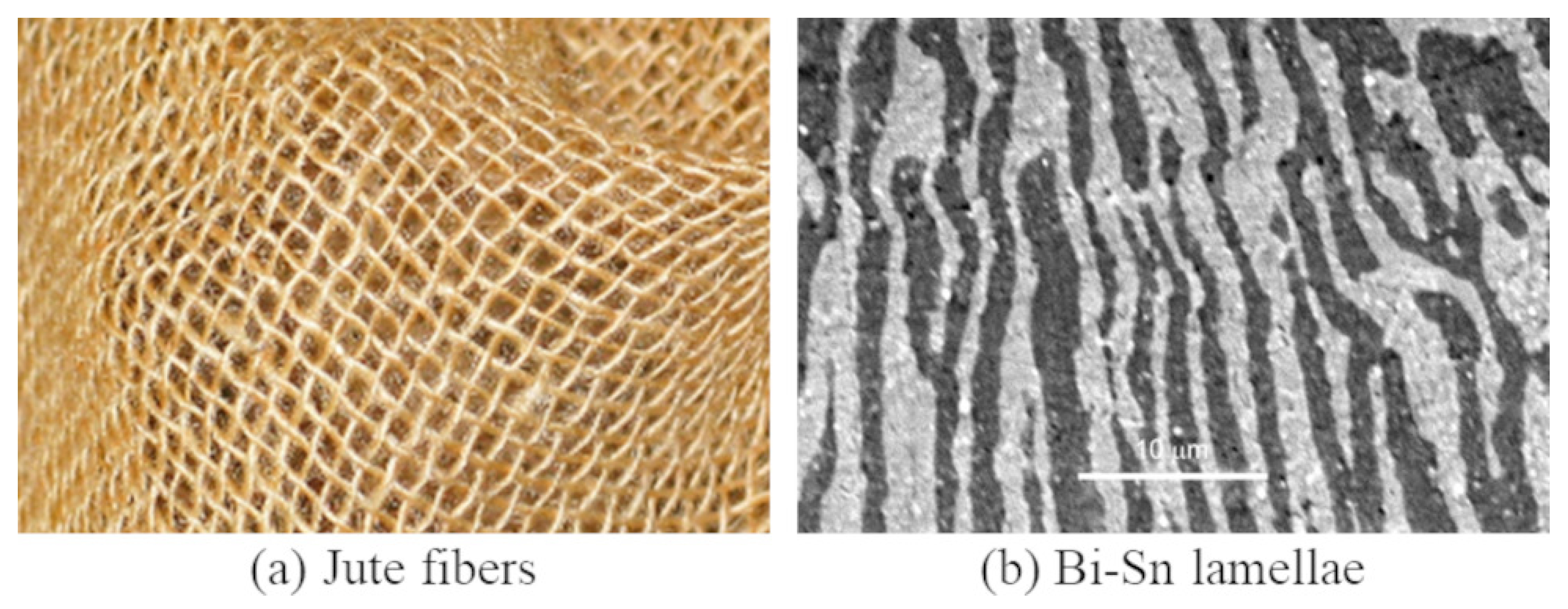Micromachines 13 00773 g001 550