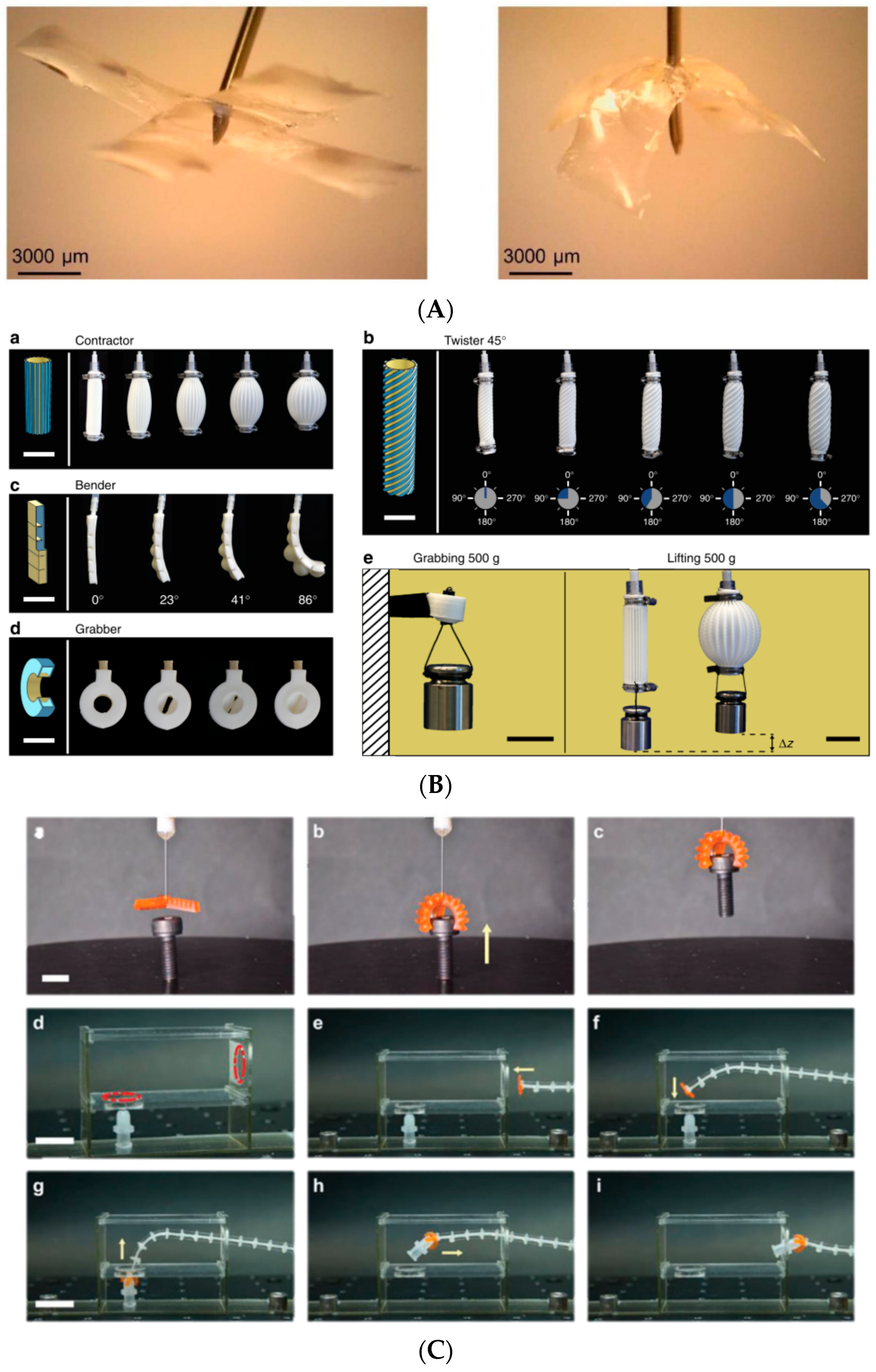 Micromachines 13 00775 g002 Micromachines 13 00775 g002