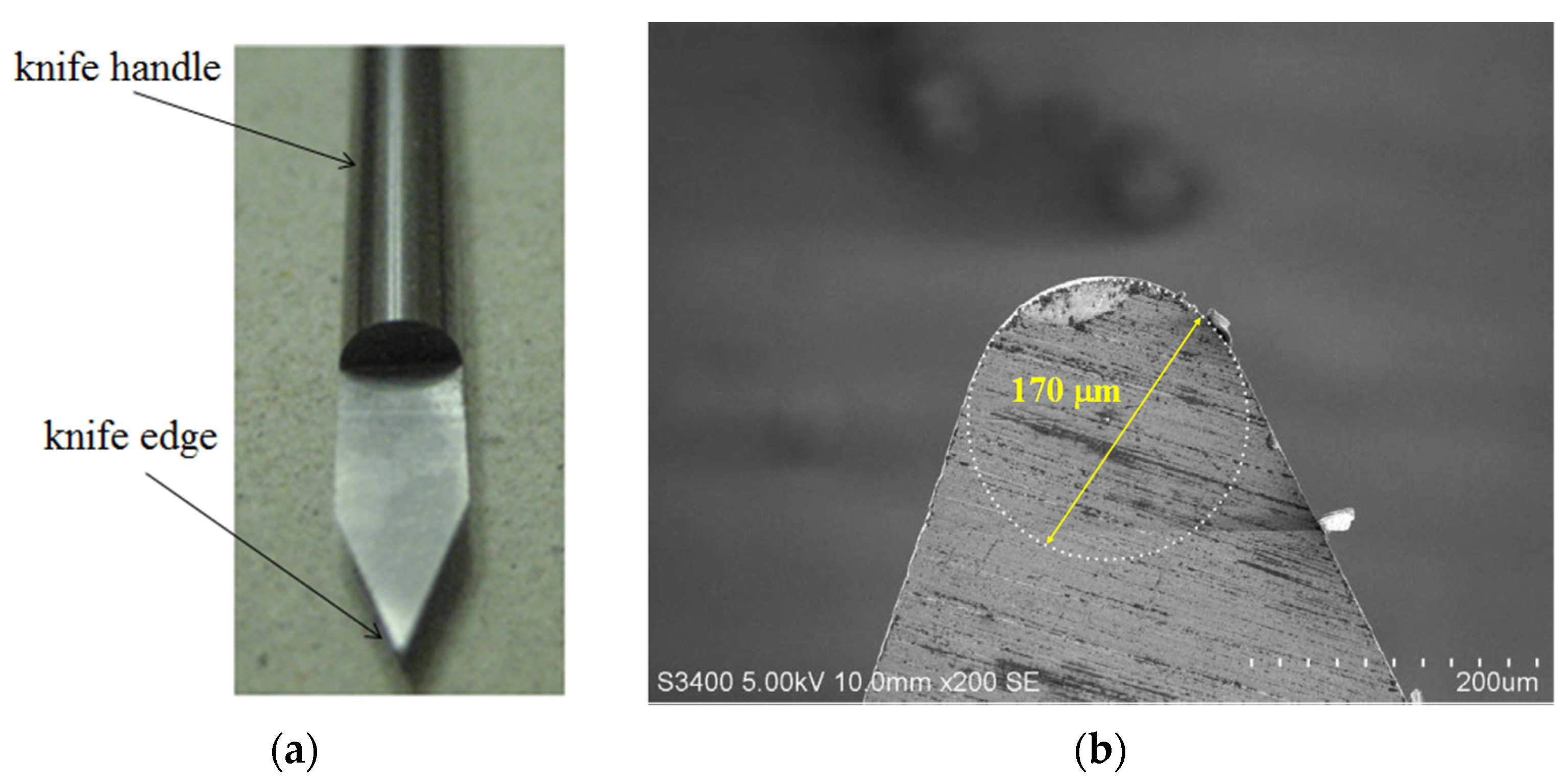 Micromachines 13 00778 g001