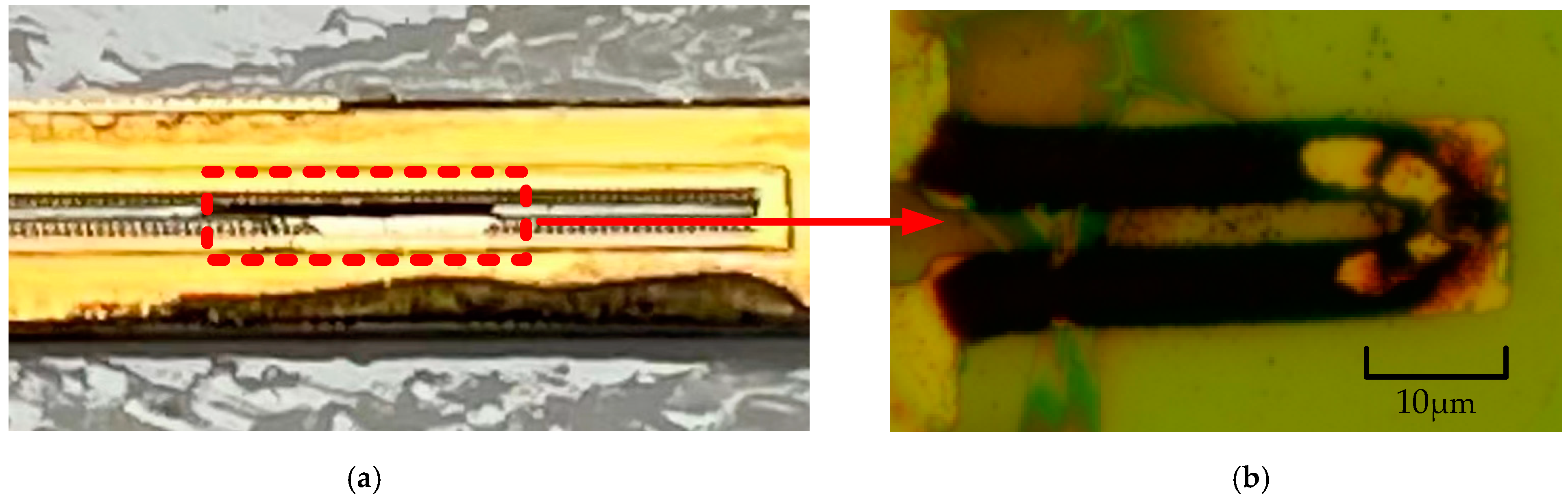 Micromachines 13 00787 g016 550