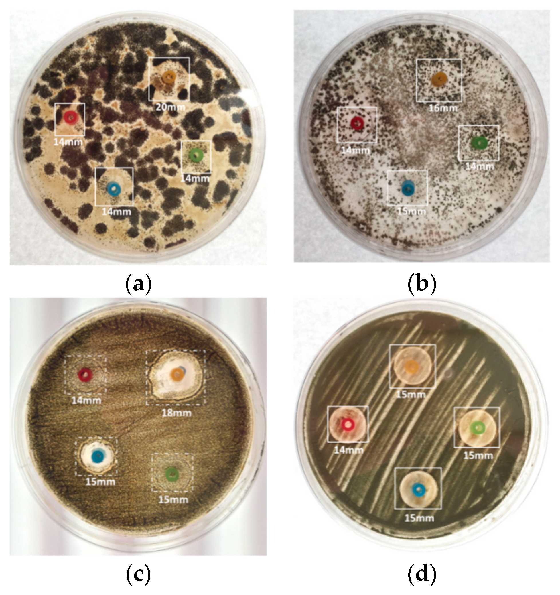 Micromachines 13 00790 g011