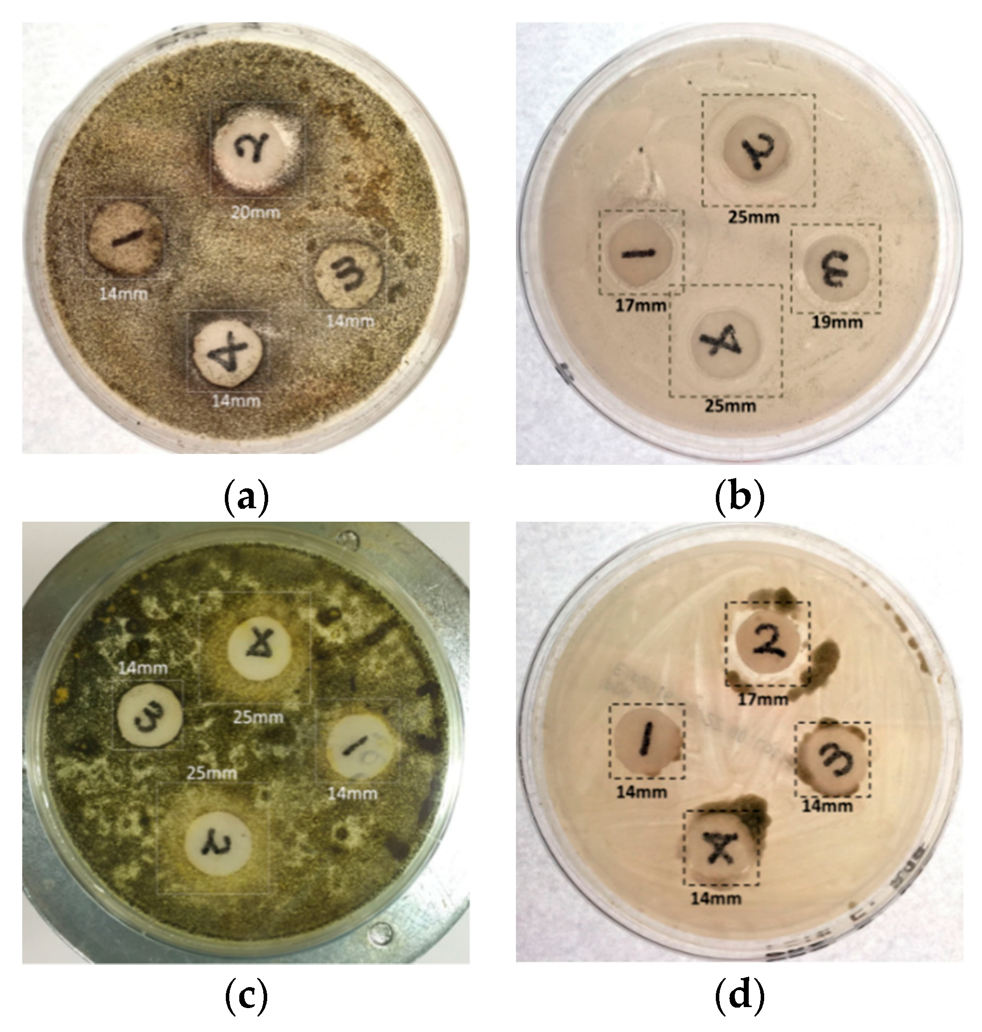 Micromachines 13 00790 g012