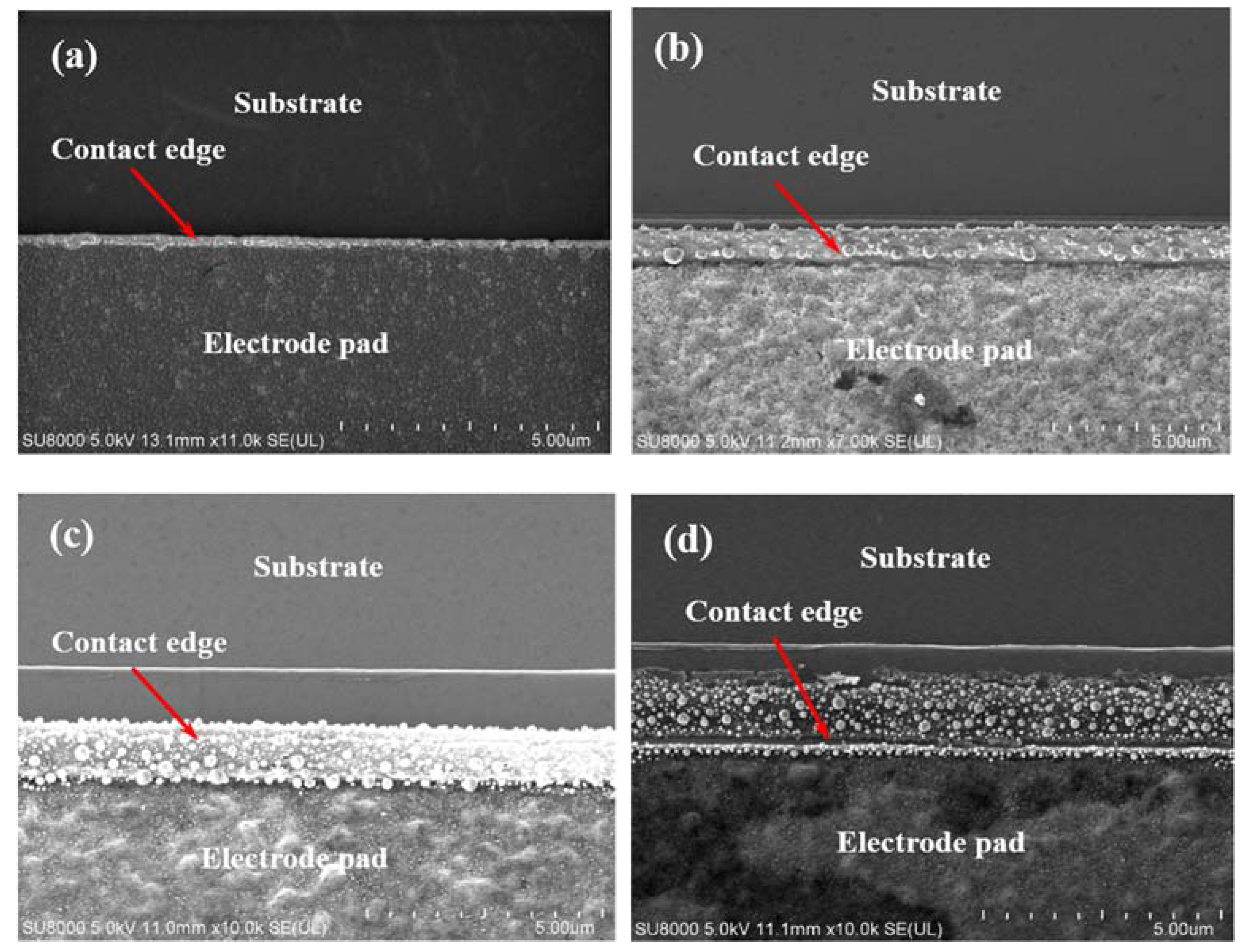 Micromachines 13 00791 g010