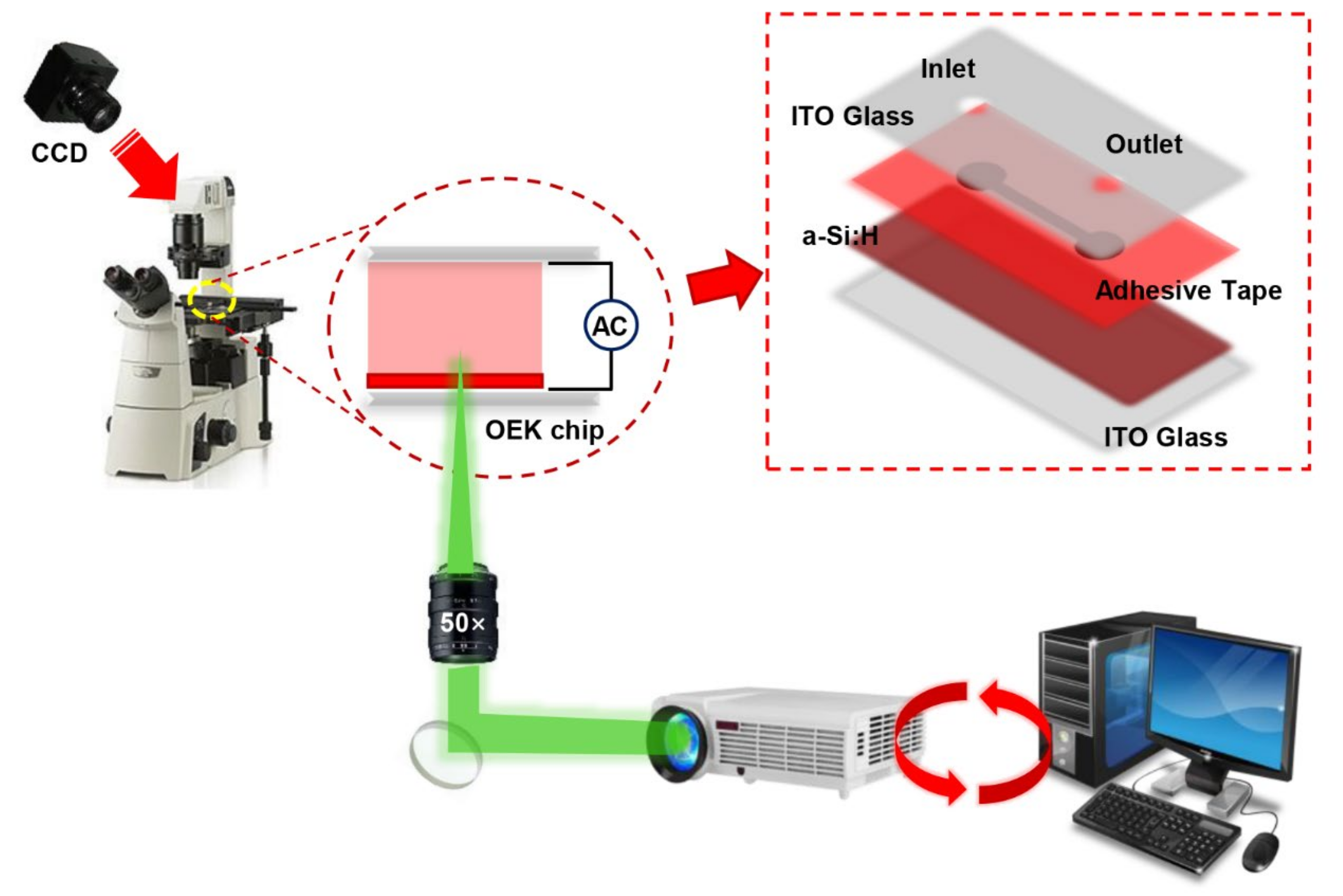 Micromachines 13 00818 g001