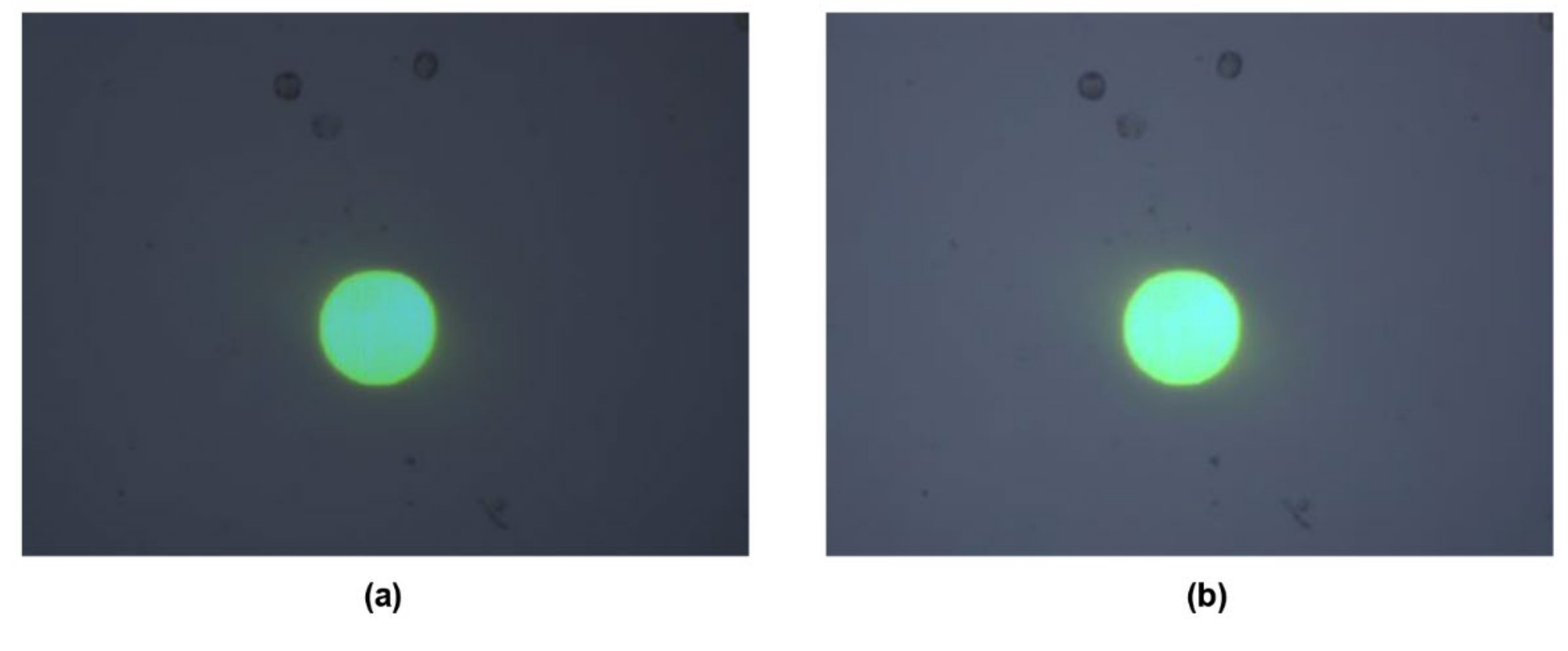 Micromachines 13 00818 g005