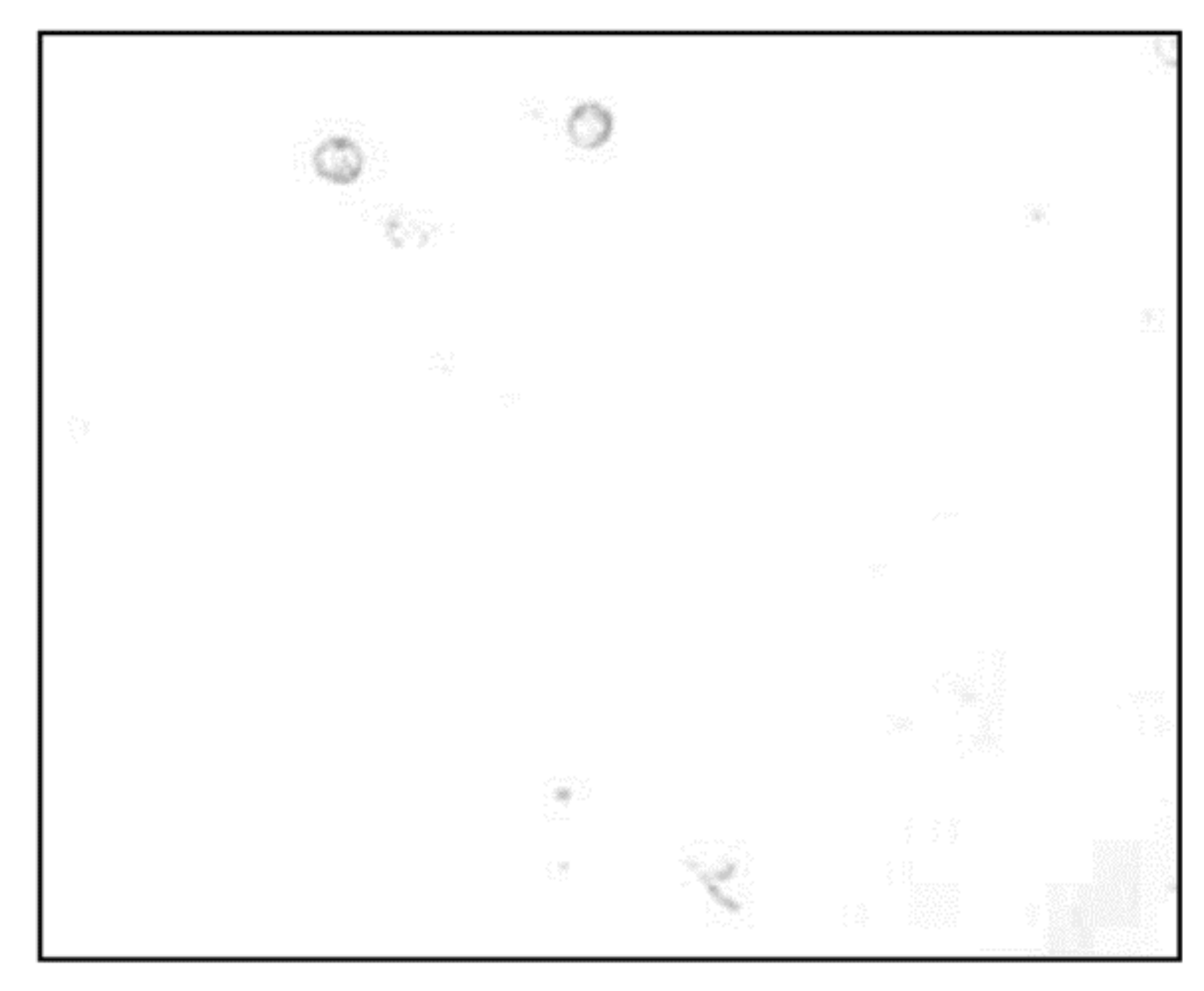 Micromachines 13 00818 g006