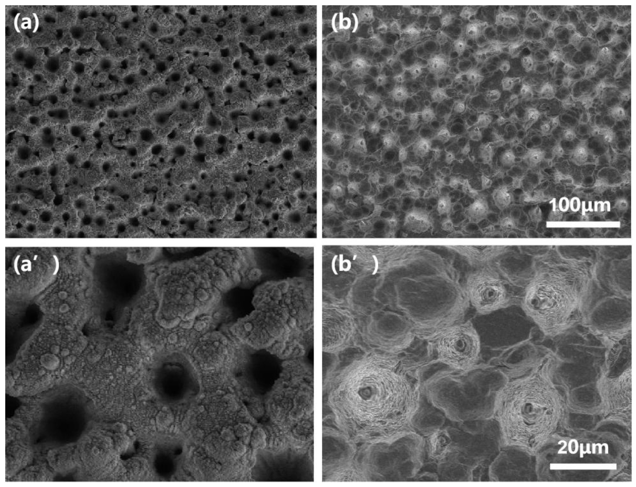 Micromachines 13 00821 g002 550