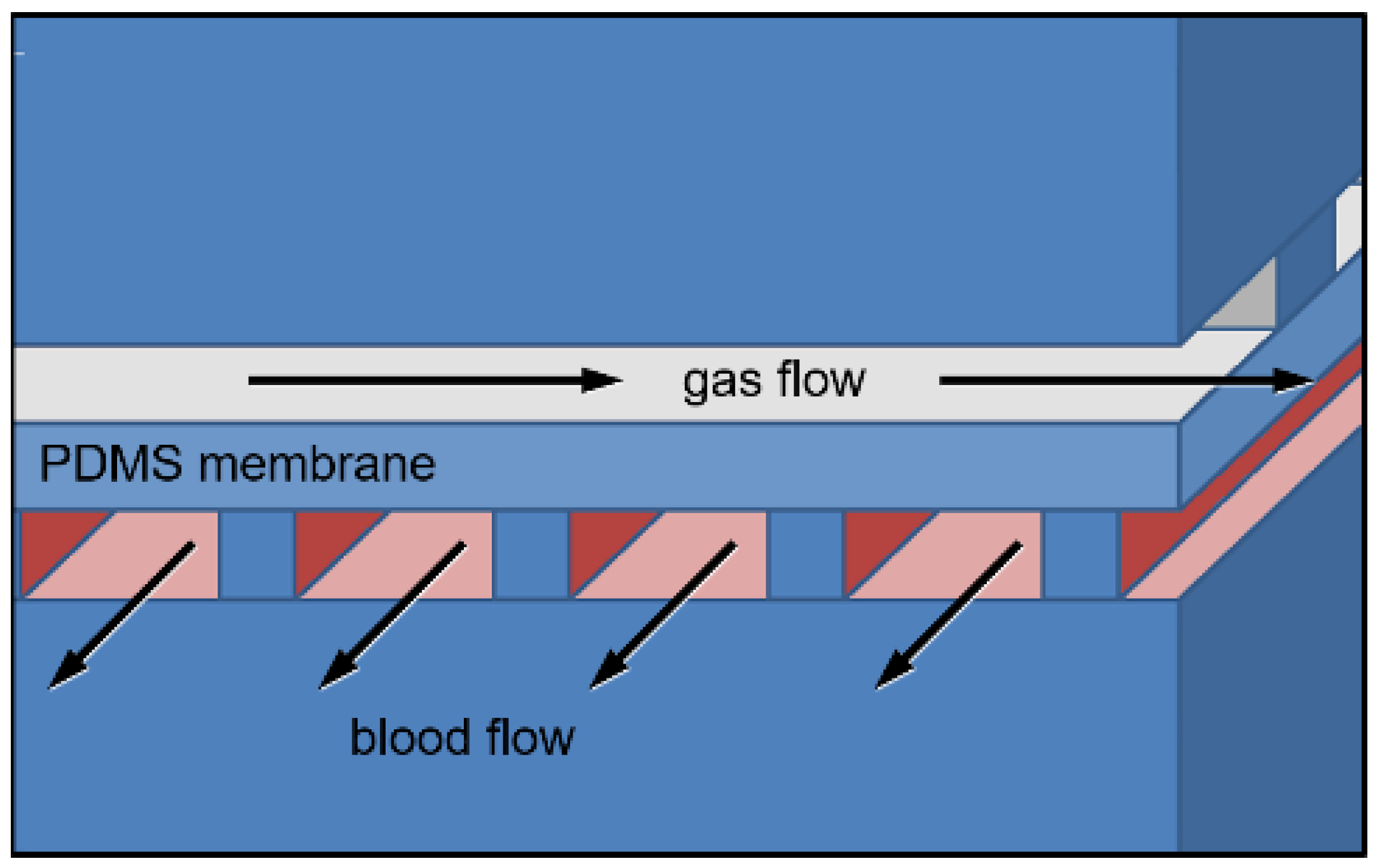 Micromachines 13 00822 g001 550