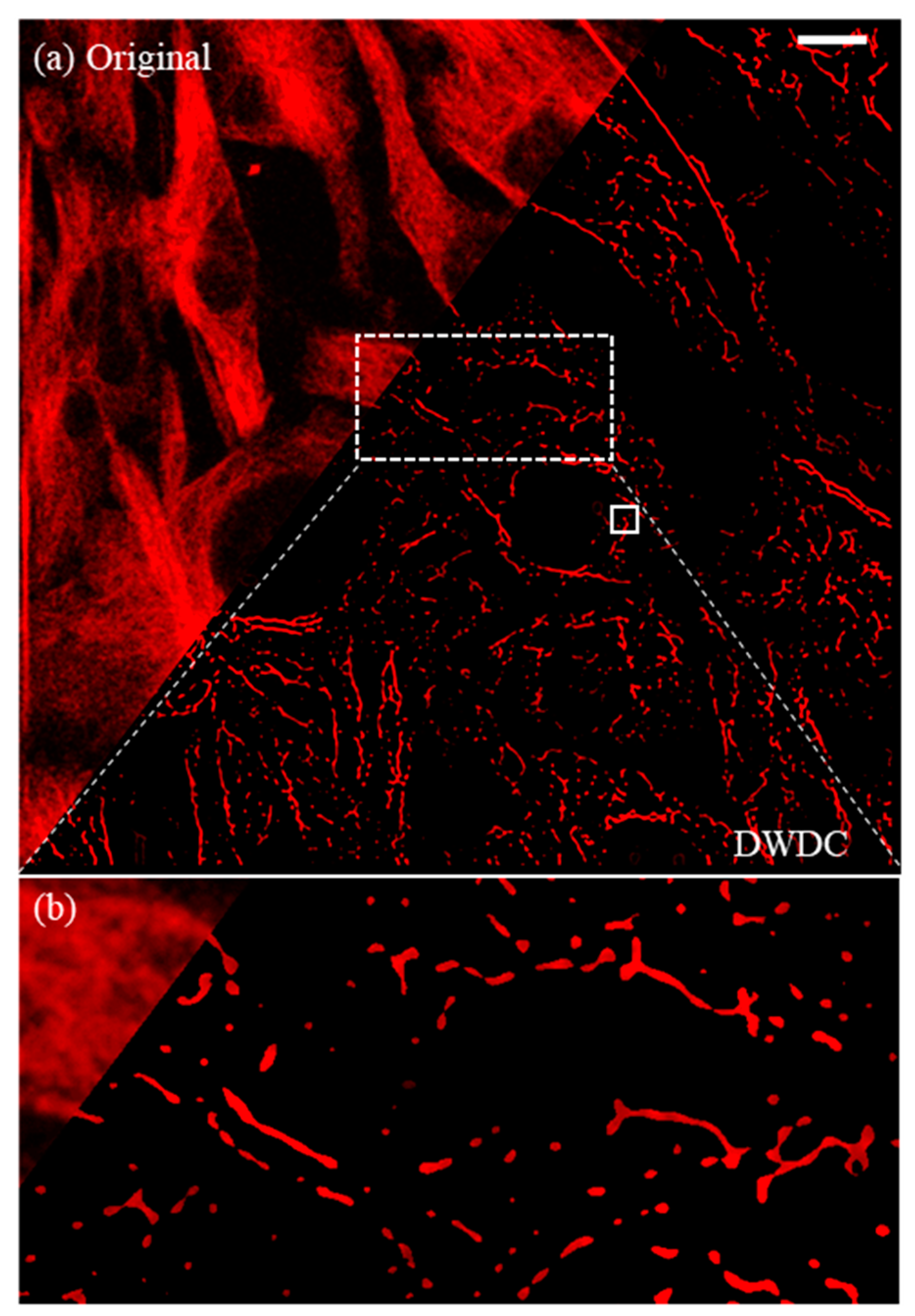 Micromachines 13 00824 g011 Micromachines 13 00824 g011