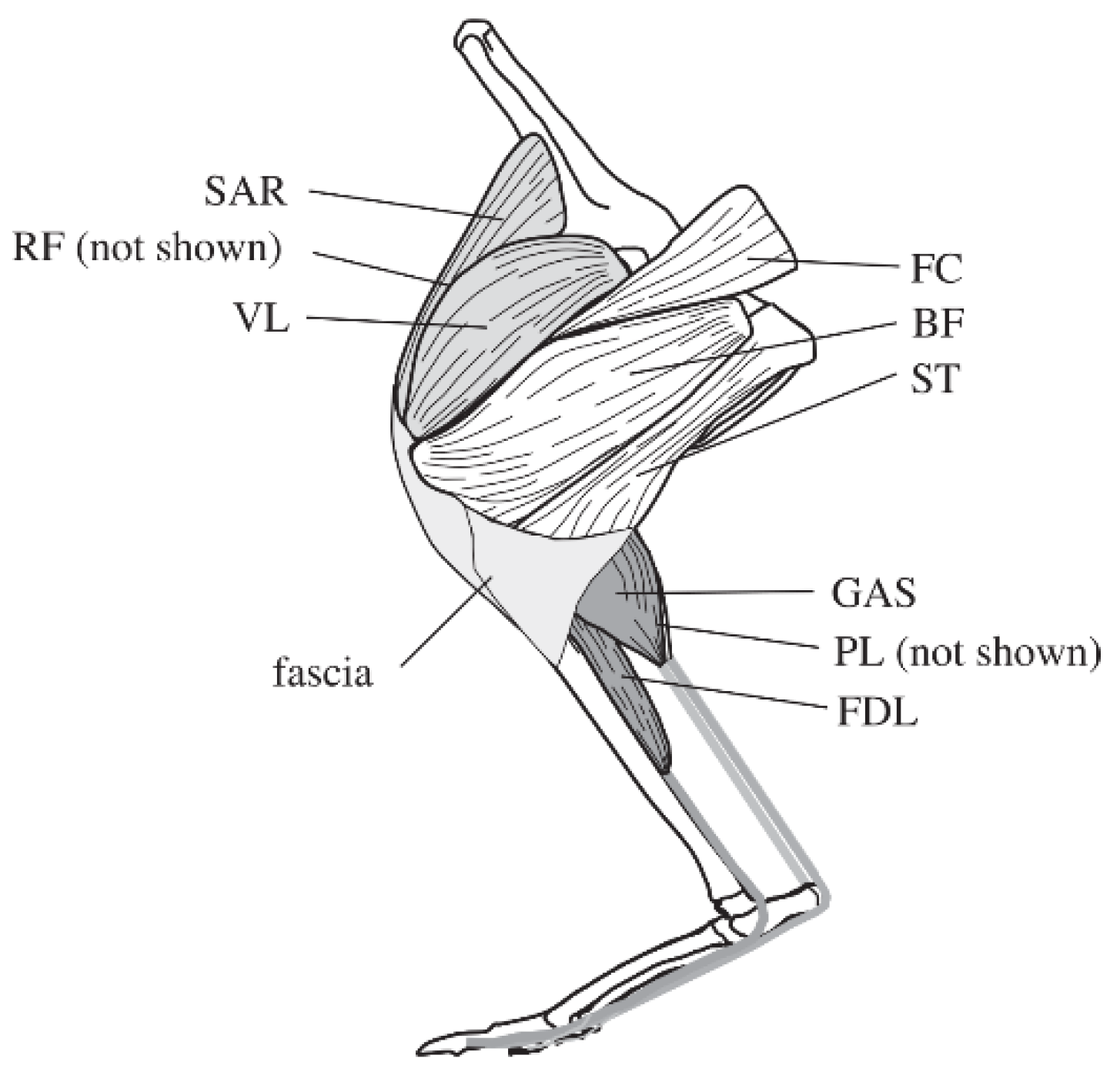 Micromachines 13 00827 g001
