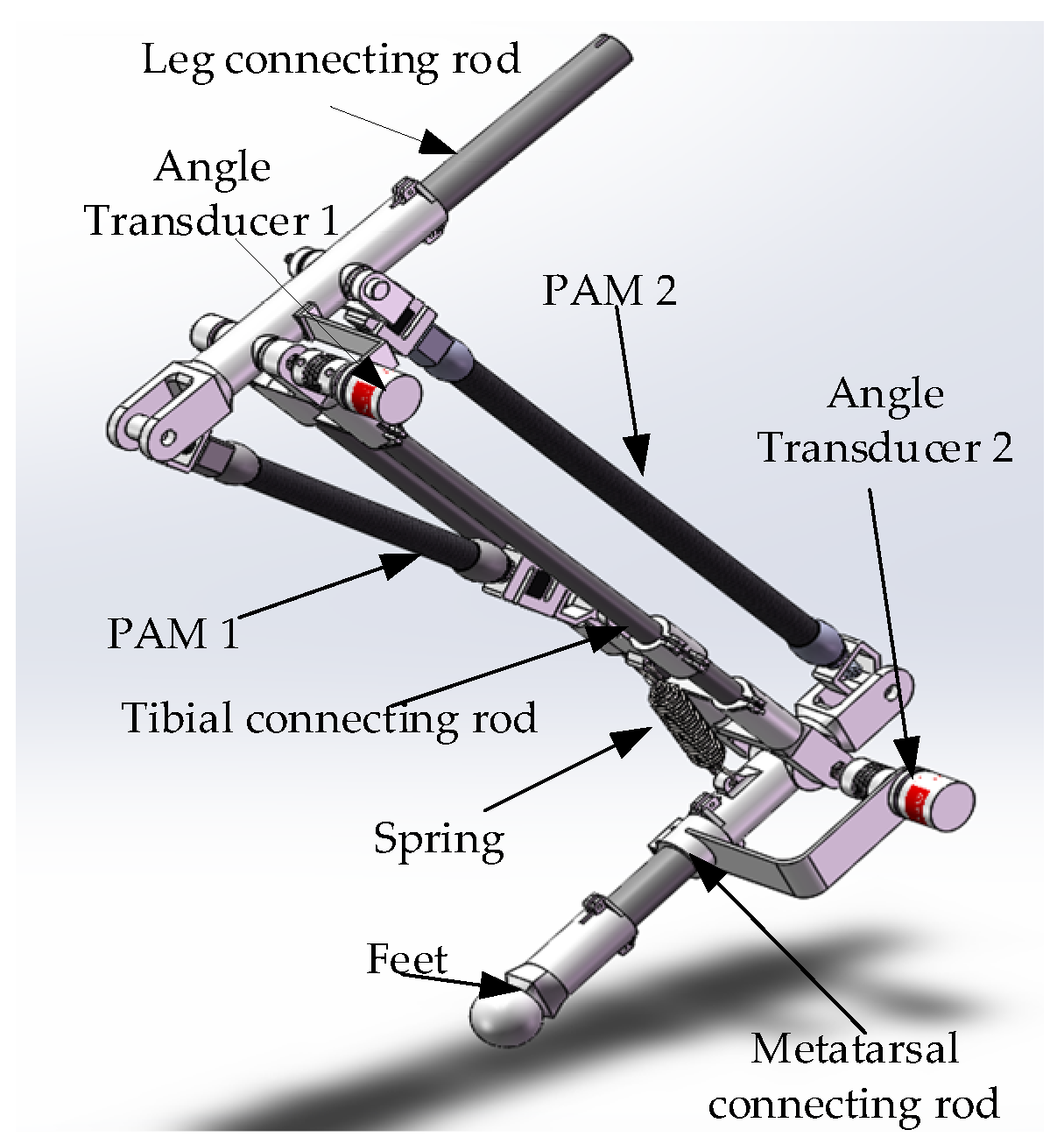 Design and Joint Position Control of Bionic Jumping Leg