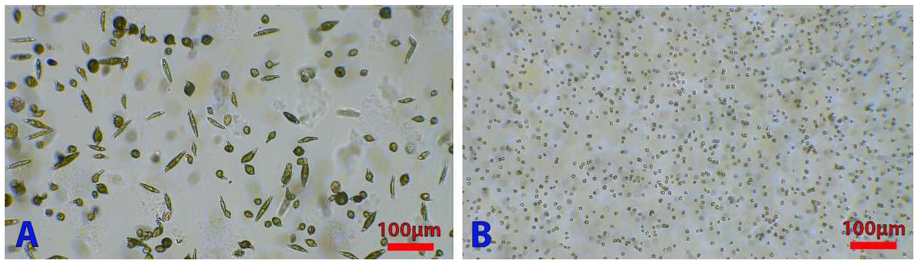 Micromachines 13 00833 g010