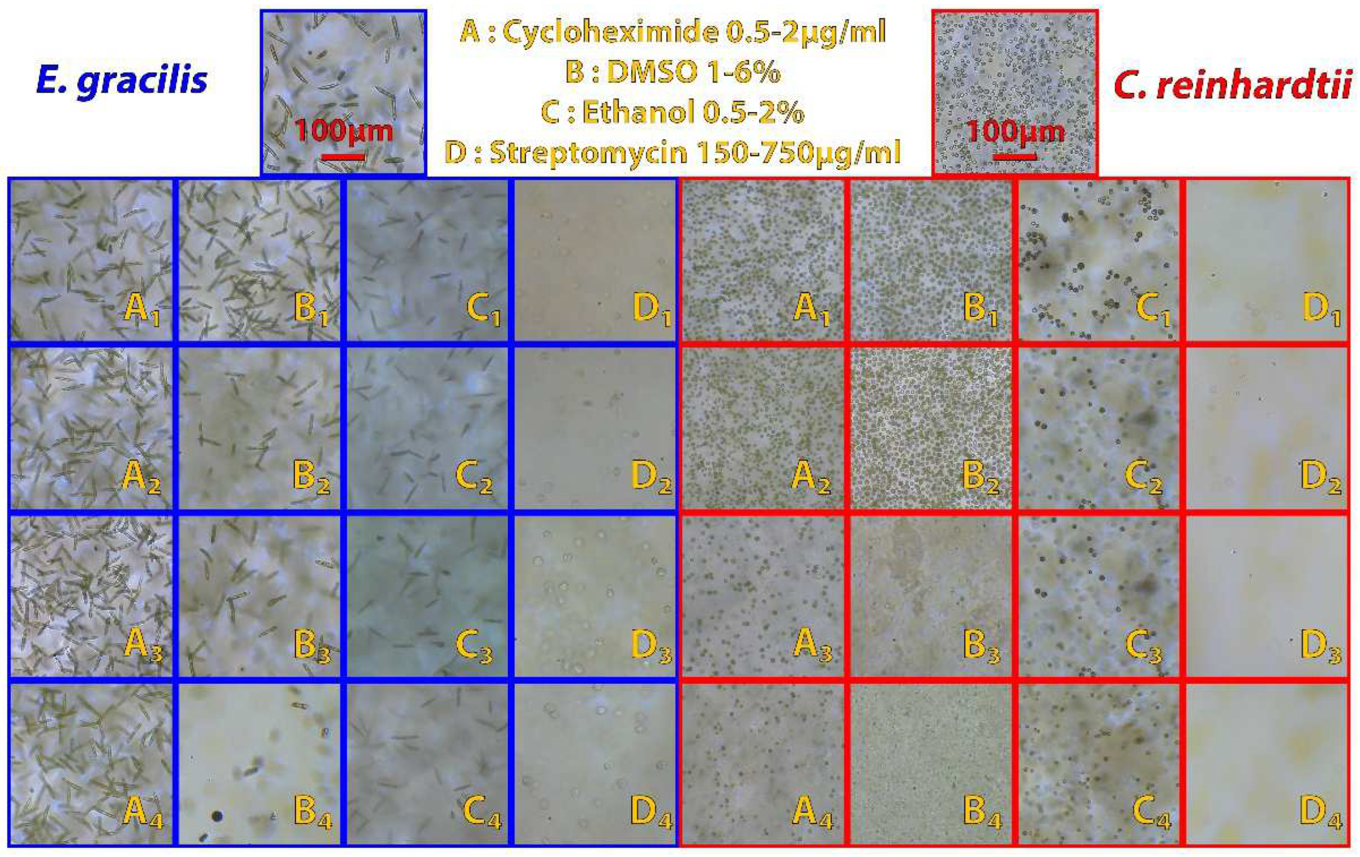 Micromachines 13 00833 g012
