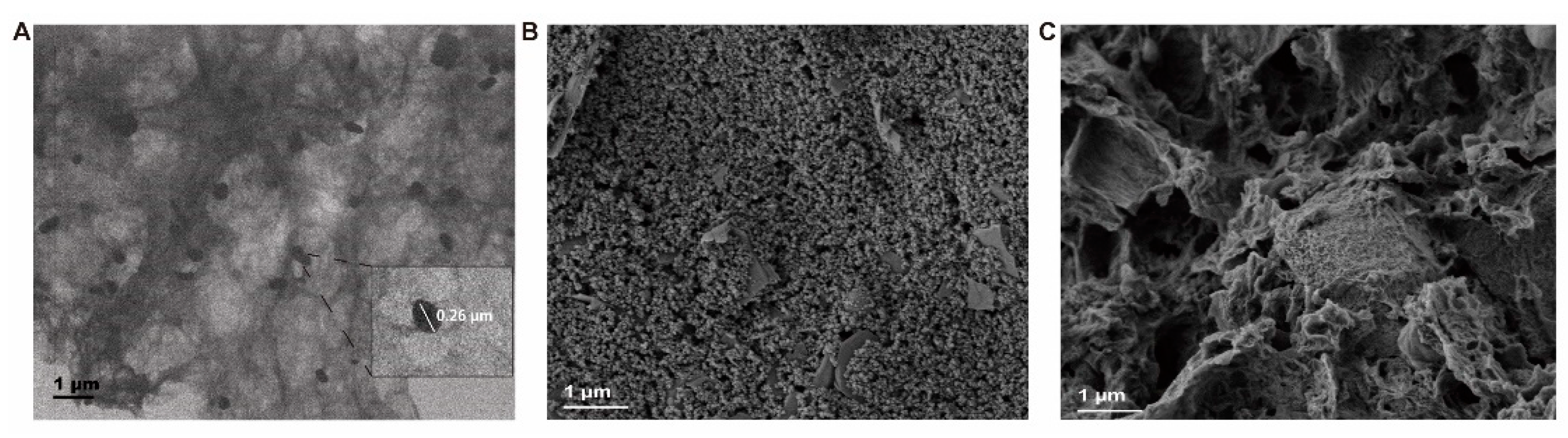 Micromachines 13 00834 g003 550