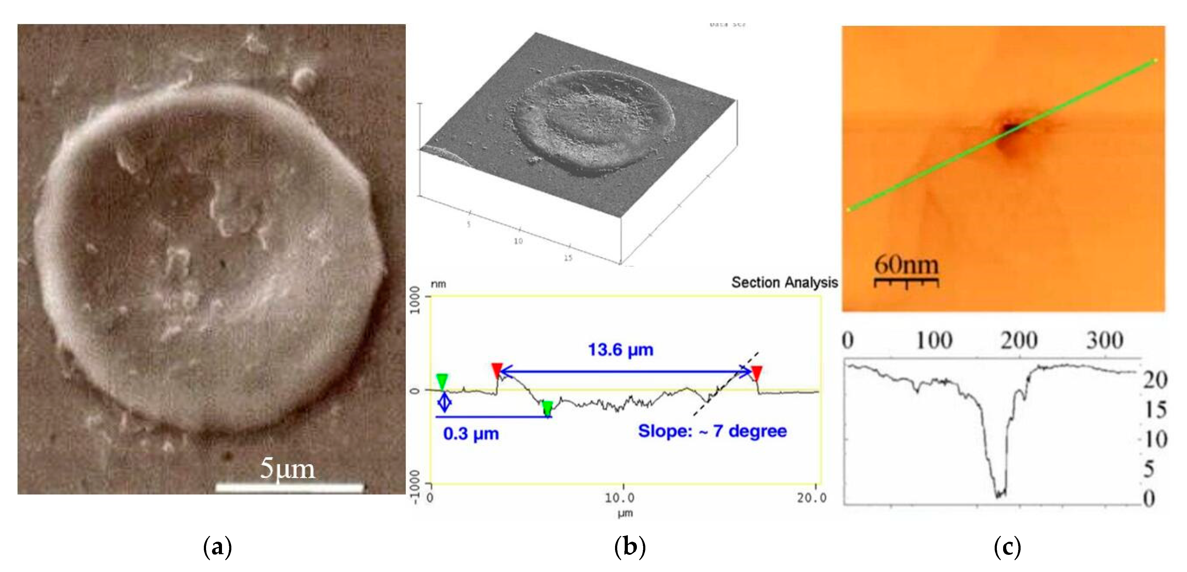 Micromachines 13 00845 g009