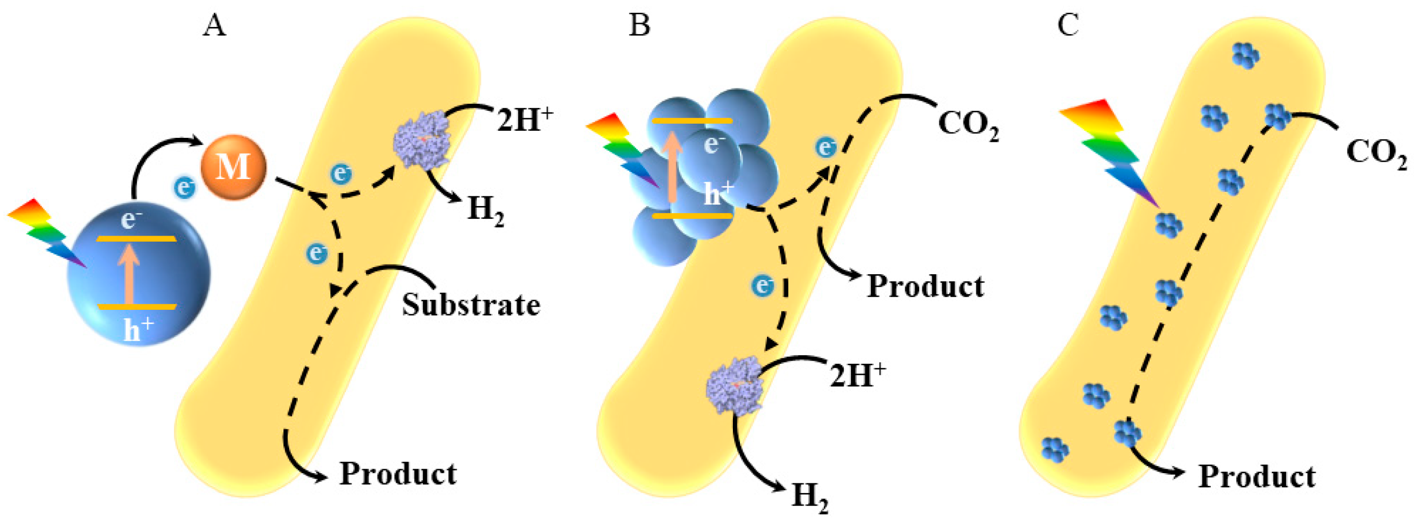Micromachines 13 00861 g001