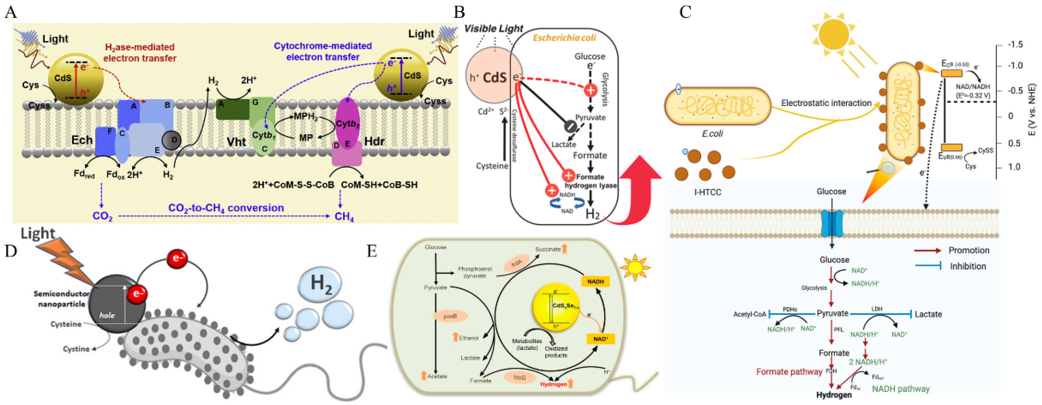 Micromachines 13 00861 g003