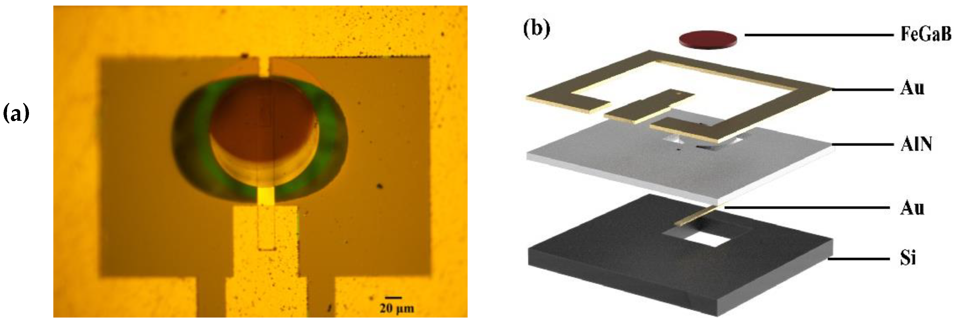 Micromachines 13 00864 g001 550
