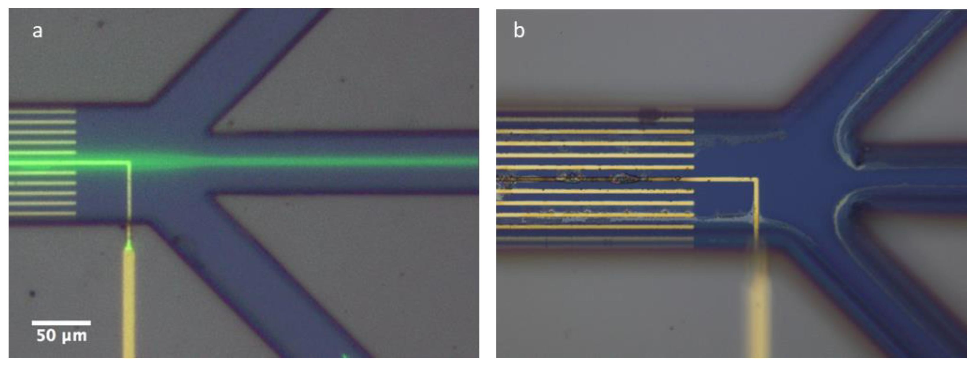 Micromachines 13 00866 g010 550