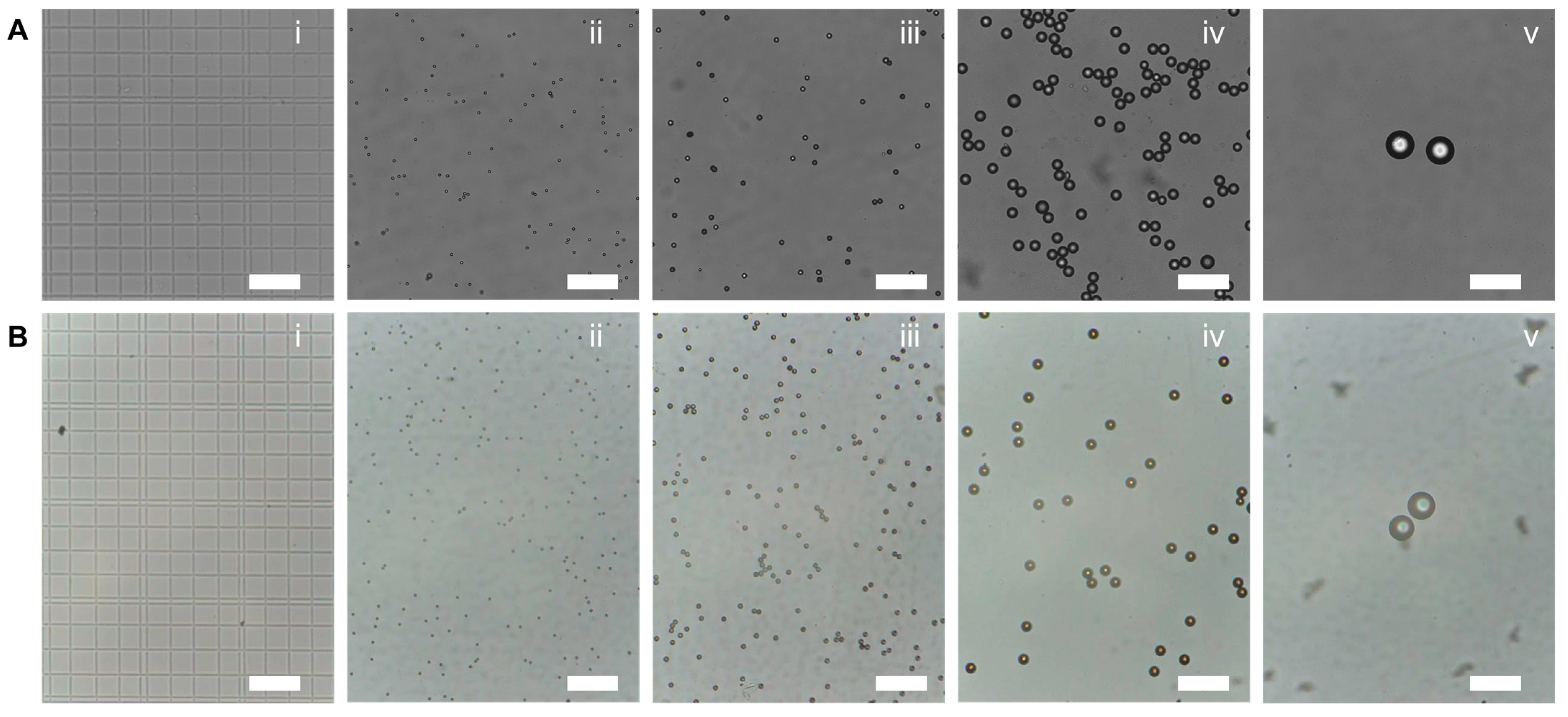 Micromachines 13 00869 g002 550