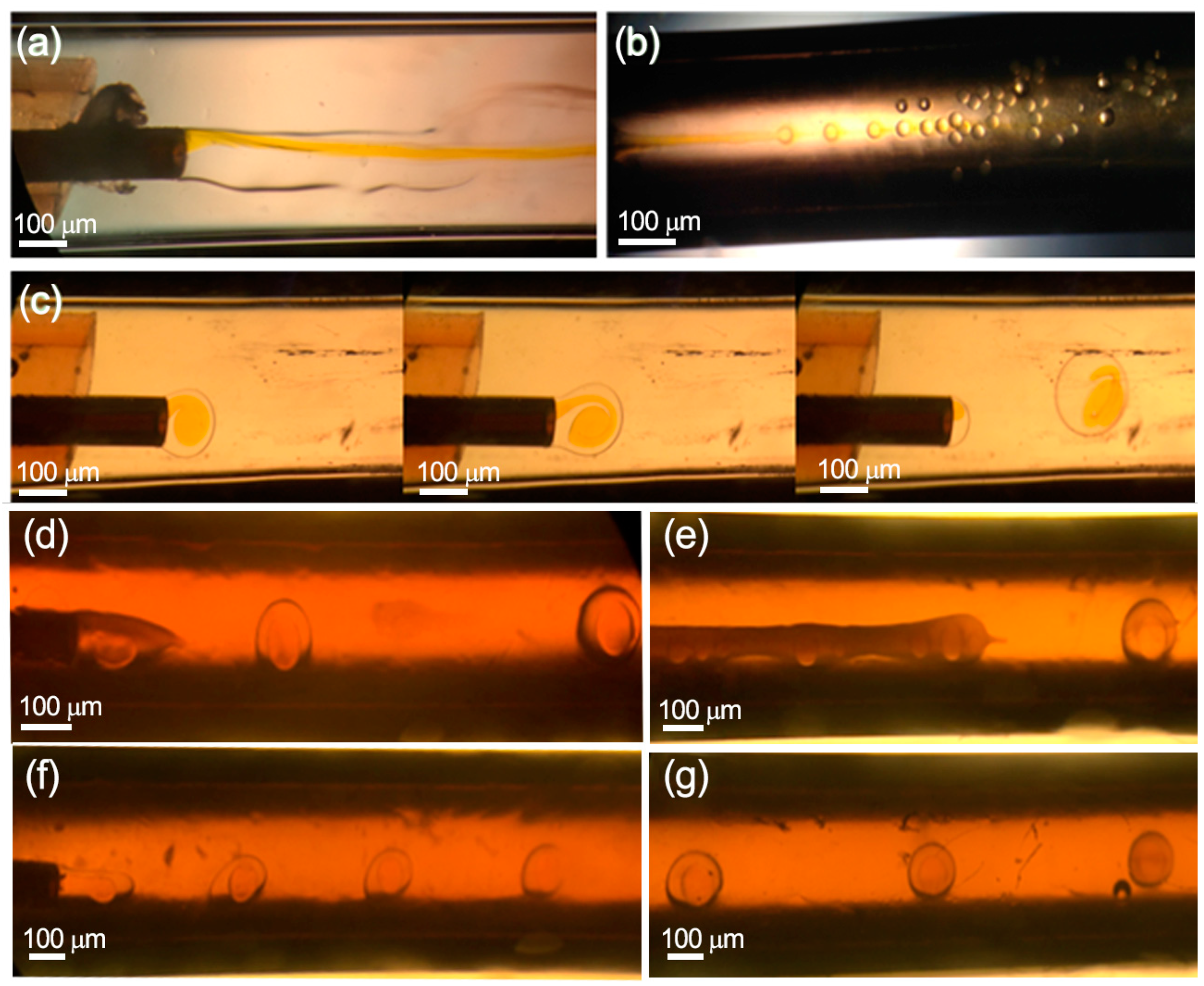 Micromachines 13 00878 g002
