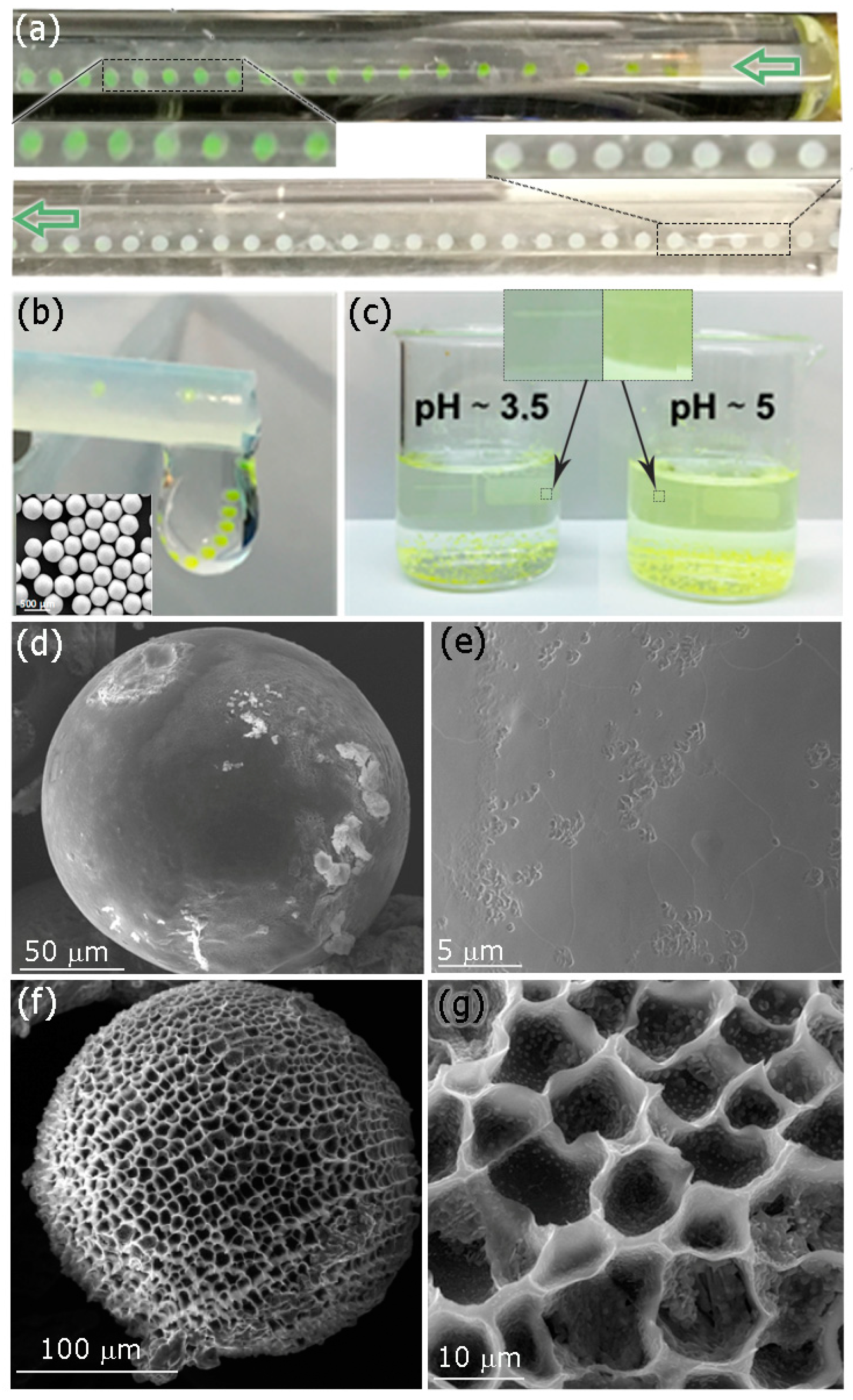Micromachines 13 00878 g003