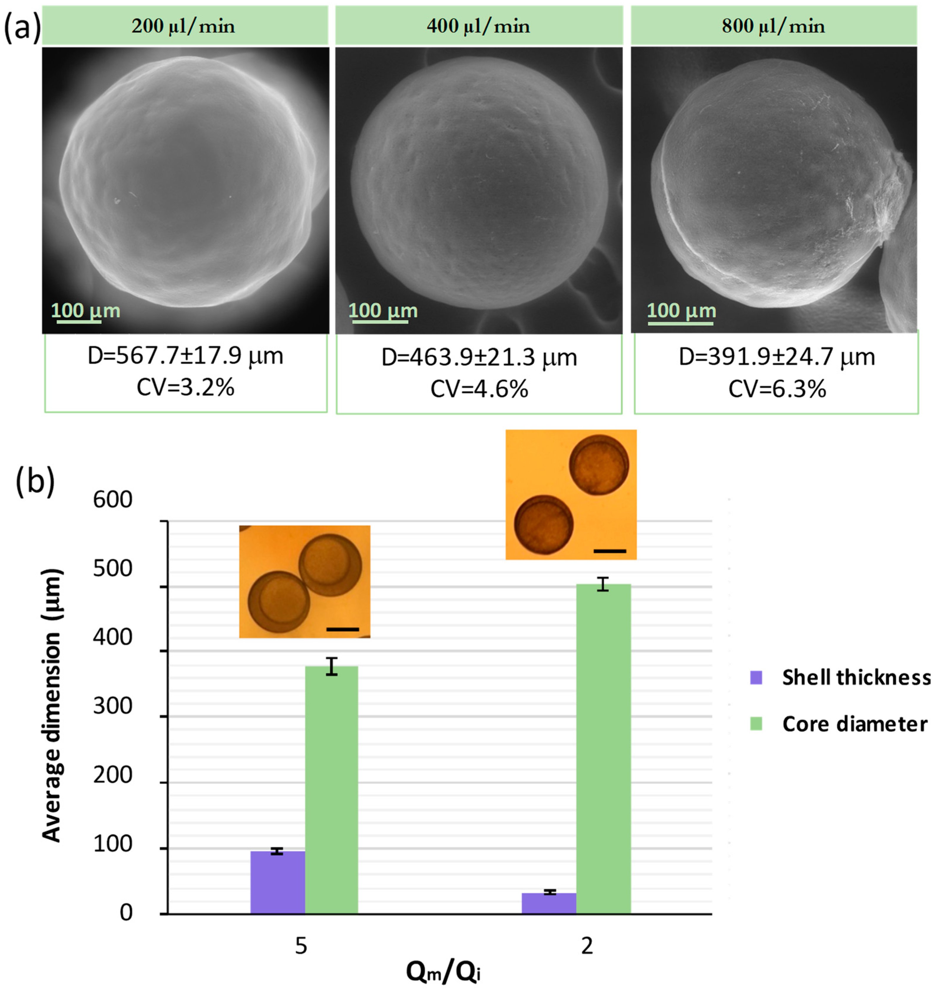 Micromachines 13 00878 g005
