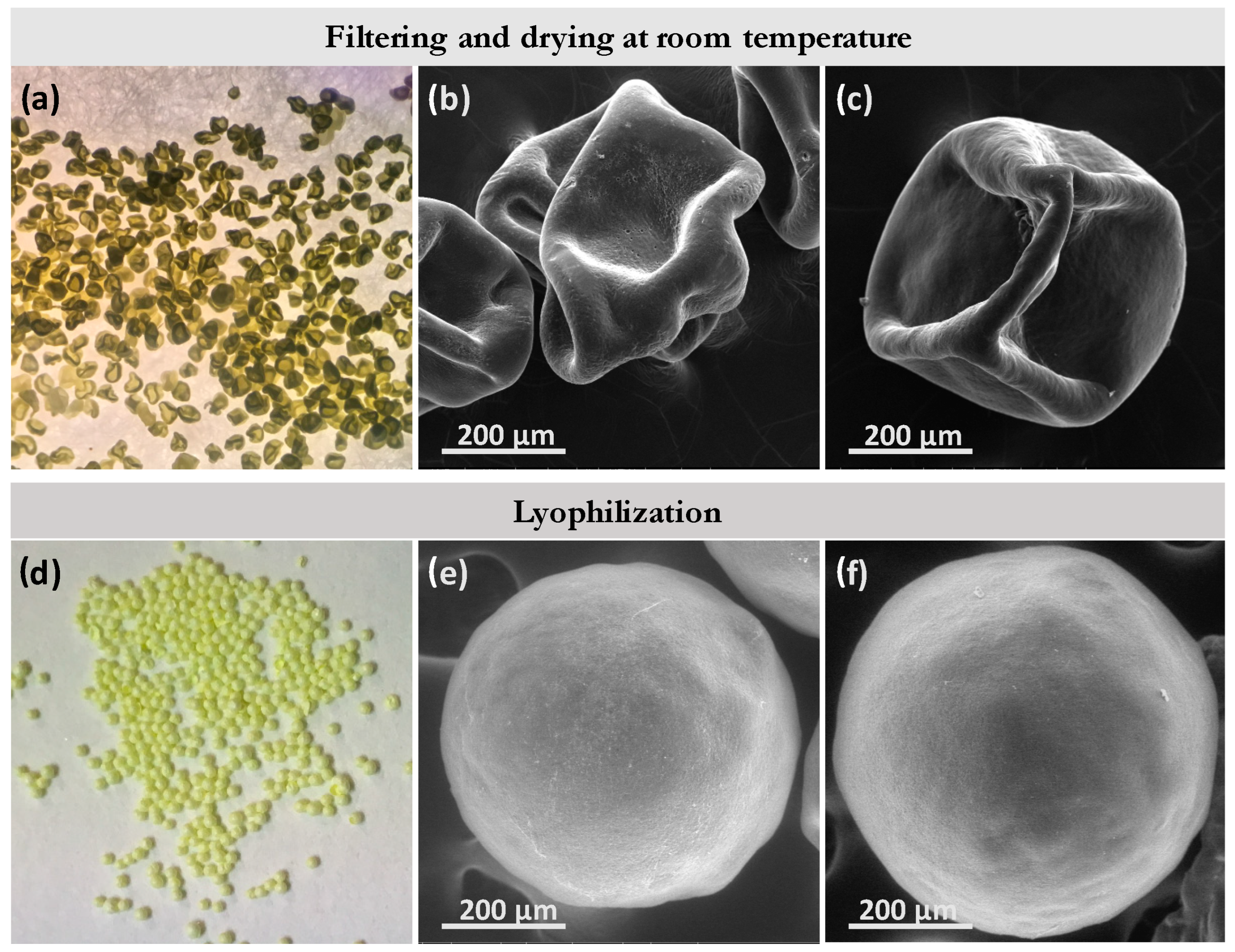 Micromachines 13 00878 g006