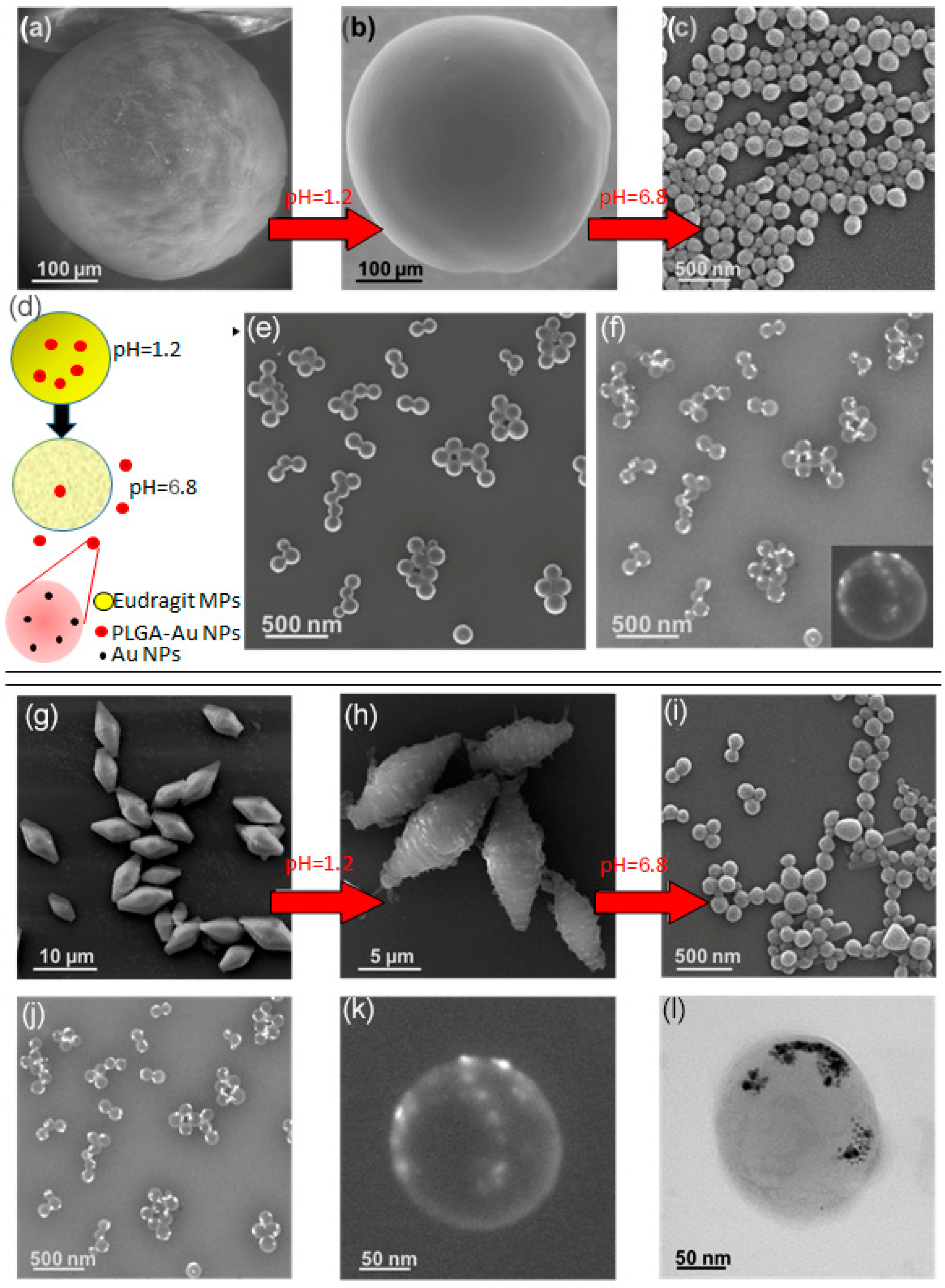 Micromachines 13 00878 g007