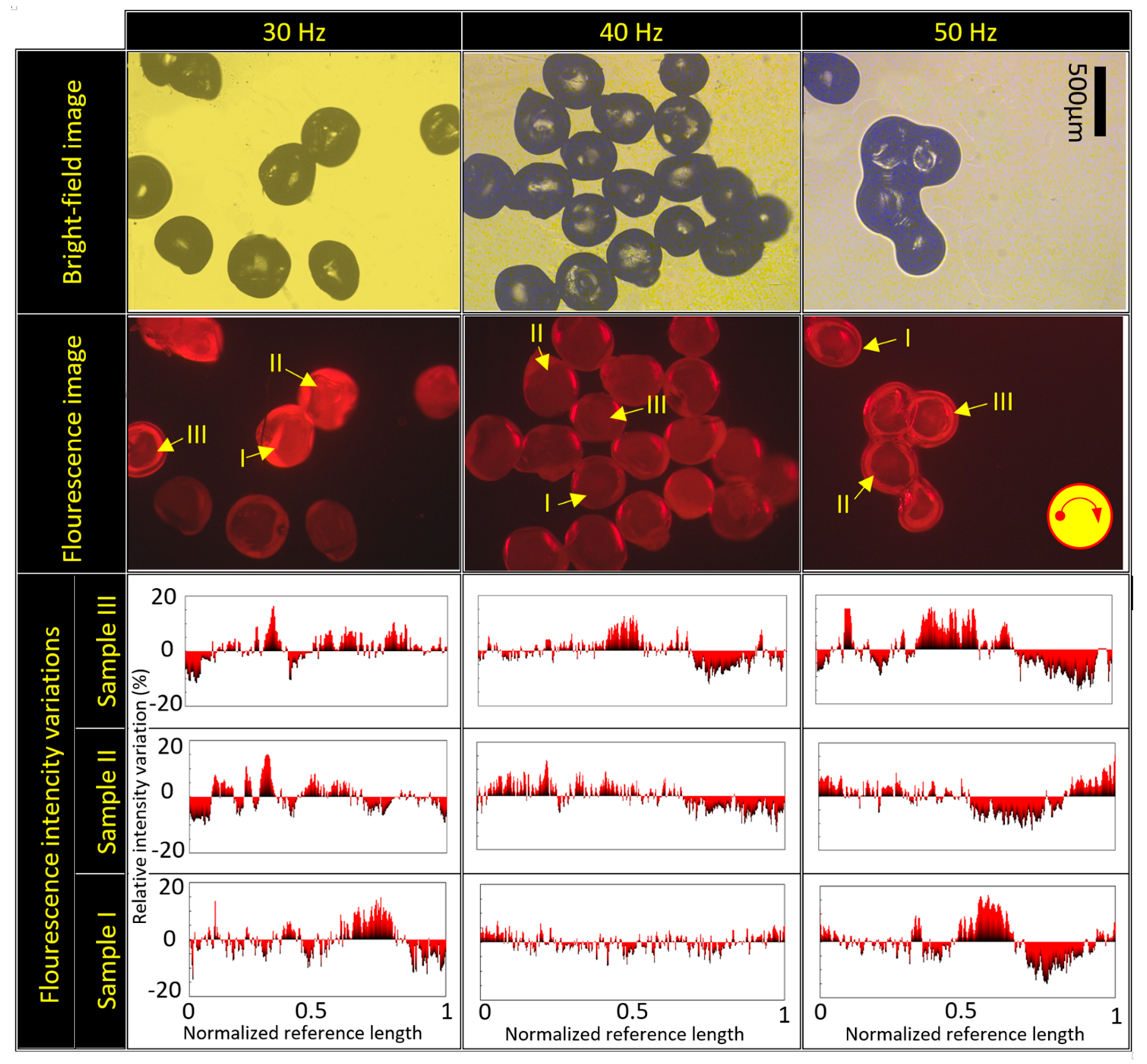 Micromachines 13 00881 g011